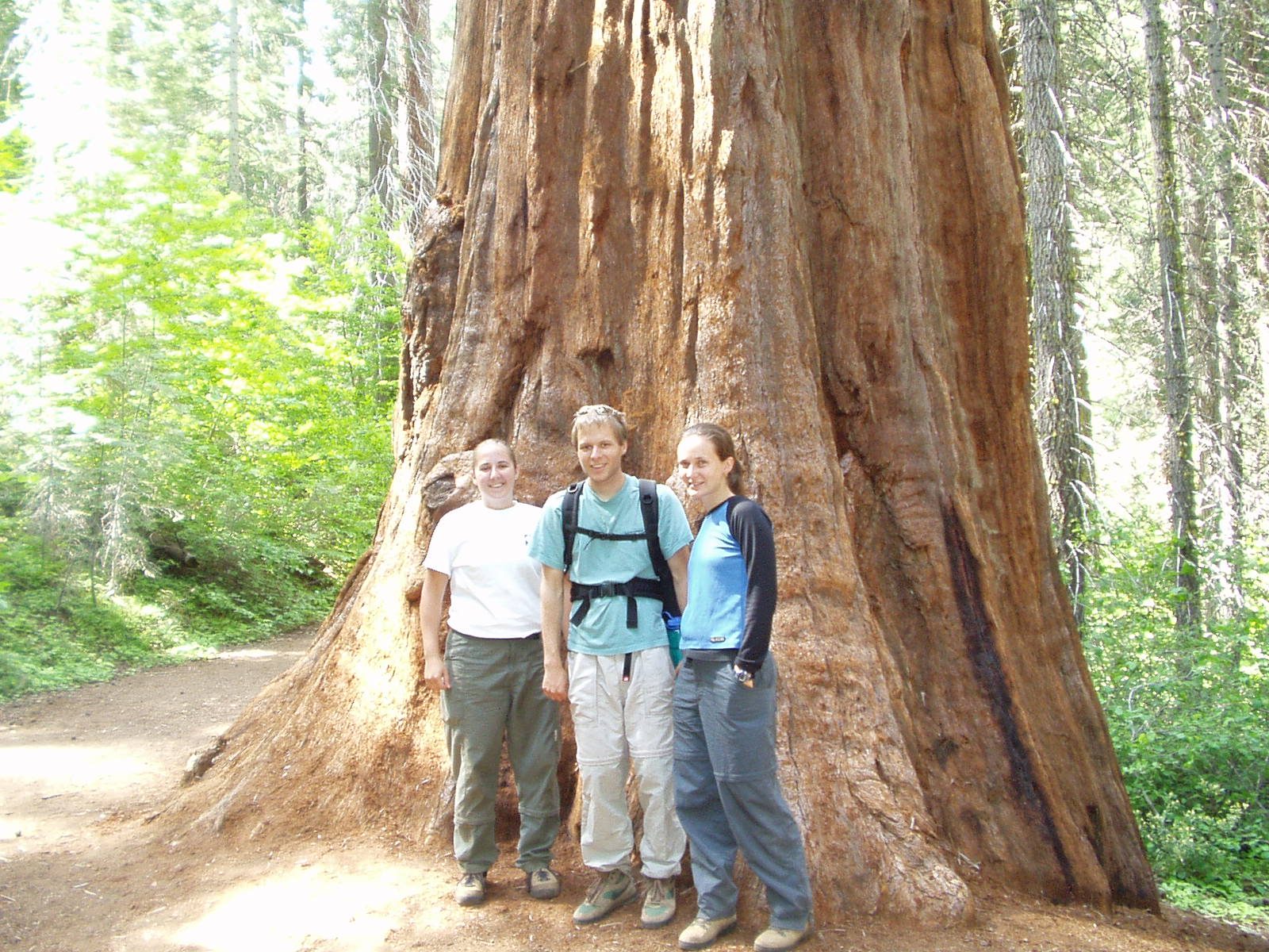 Catherine John and Rachel next to a big tree in the Merced or Yosemite Grove of Giant Sequoias.