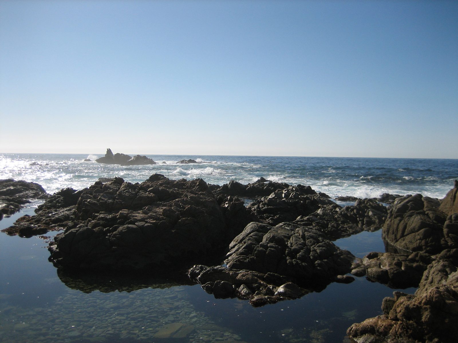 Tidal pool with the Pacific in the background; I liked juxtaposition of the two.