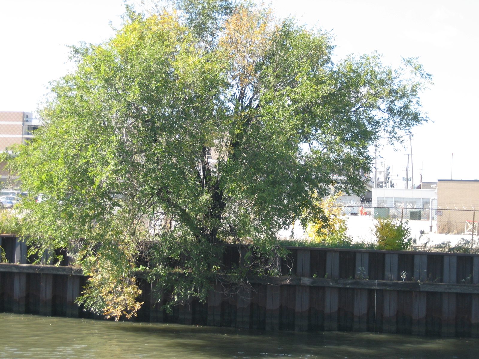 Supposedly, the Chicago Fire began somewhere in that general direction.  I'm unsure of the...
