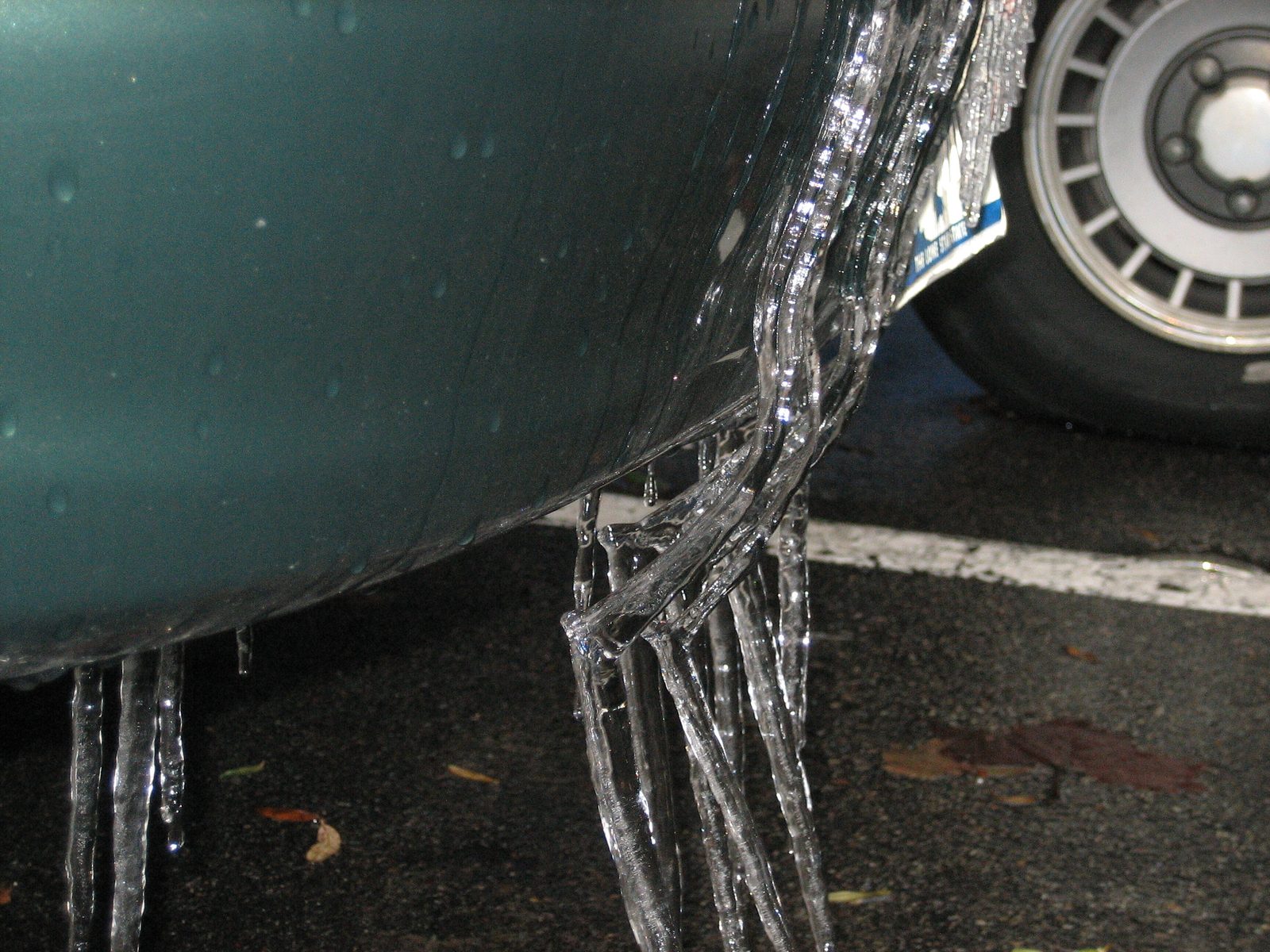I'm not entirely sure how these icicles formed... My best guess is that they were along the...