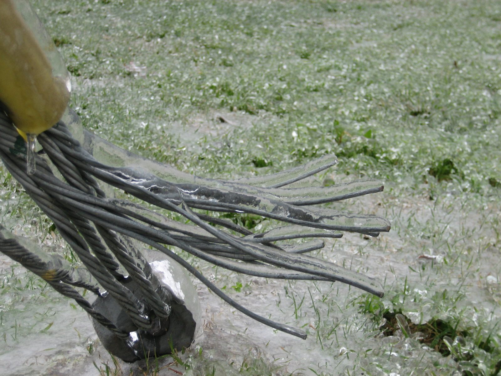 This was just neat, frozen or not - it's a support cable for a telephone pole.  Most of the...