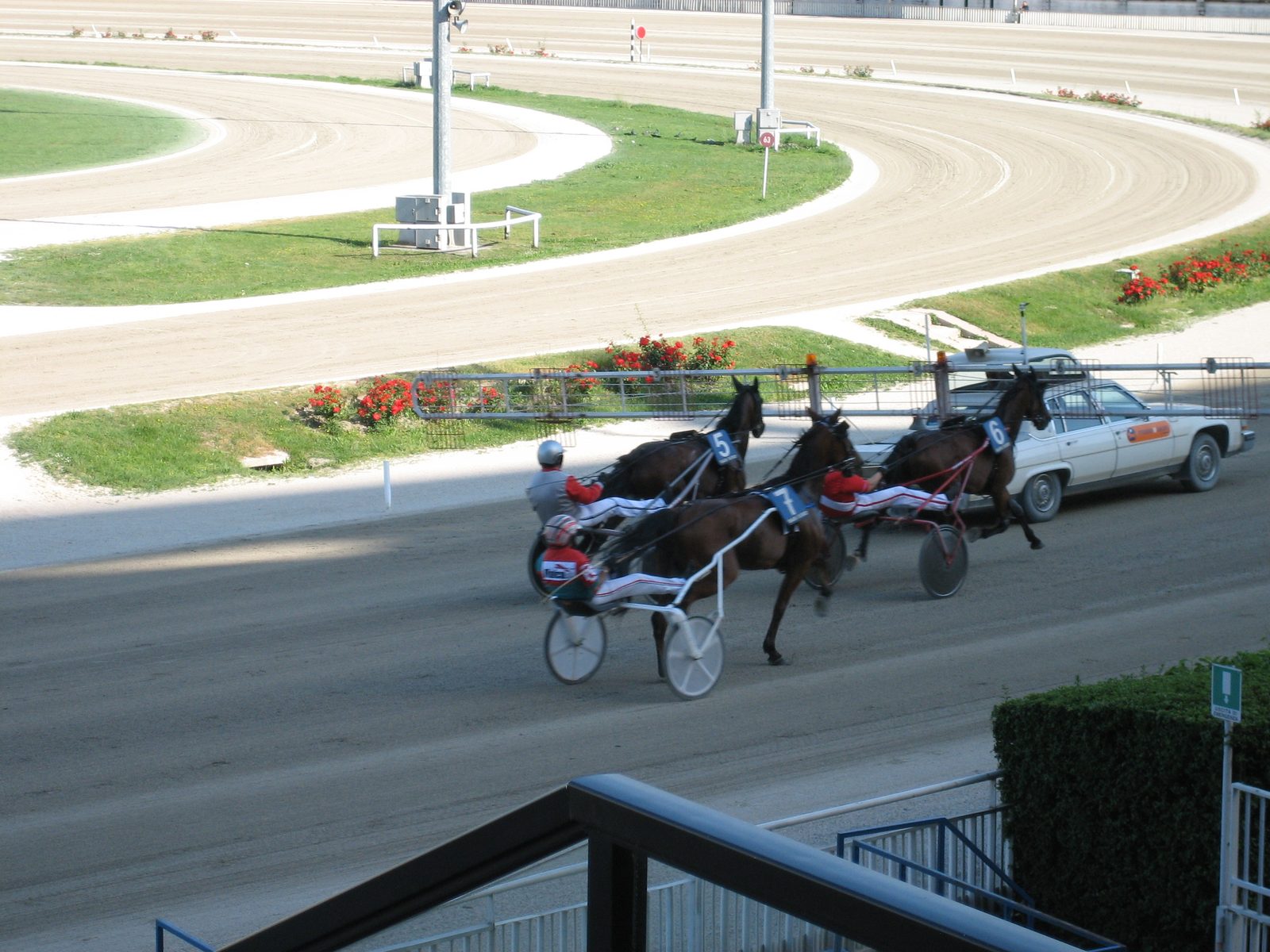 Like this, except with all the horses lined up.  They have until a certain point in the track to...