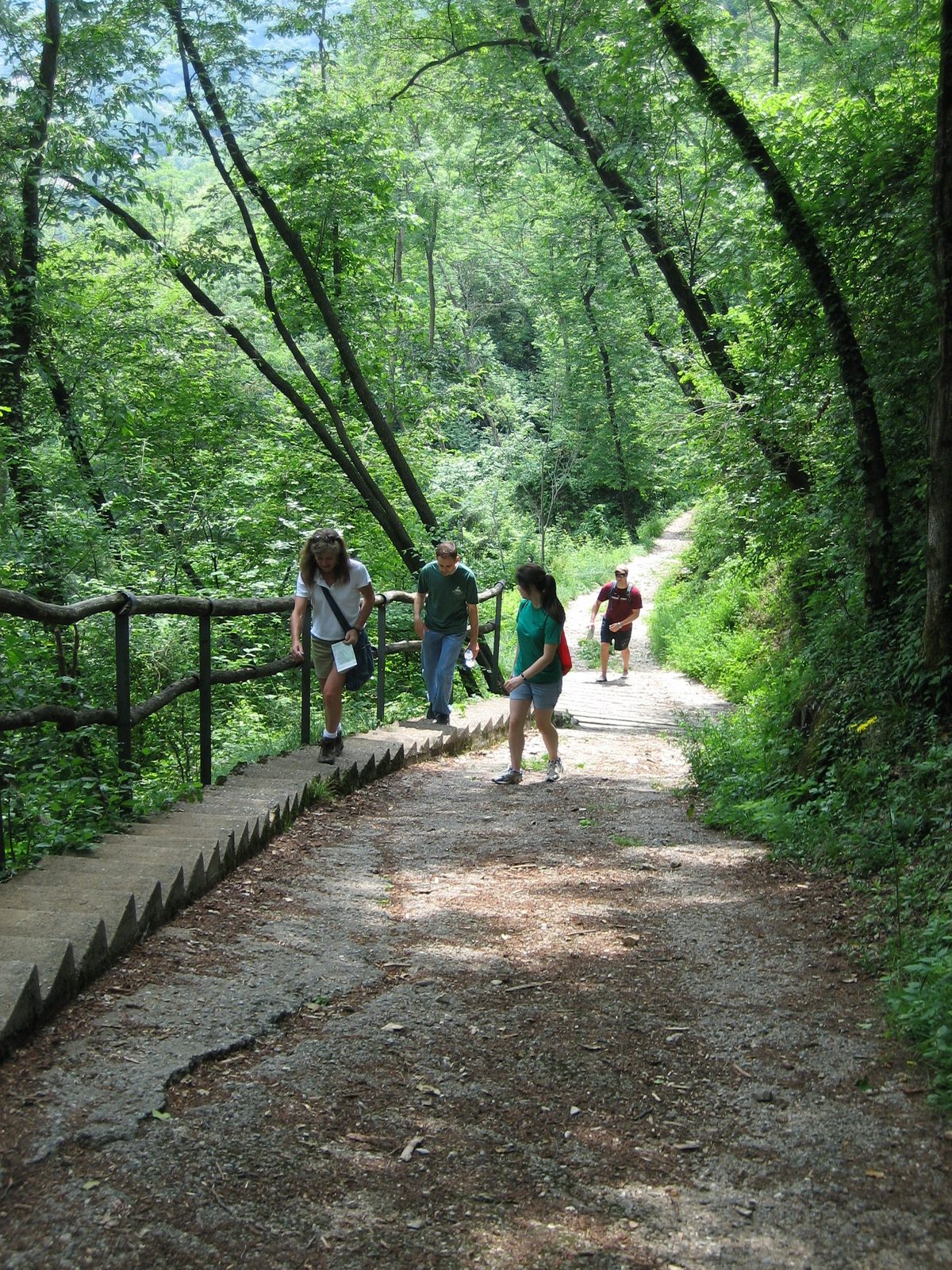 Carin (white shirt, left) claimed that the whole trail wasn't this steep, but she was incorrect....