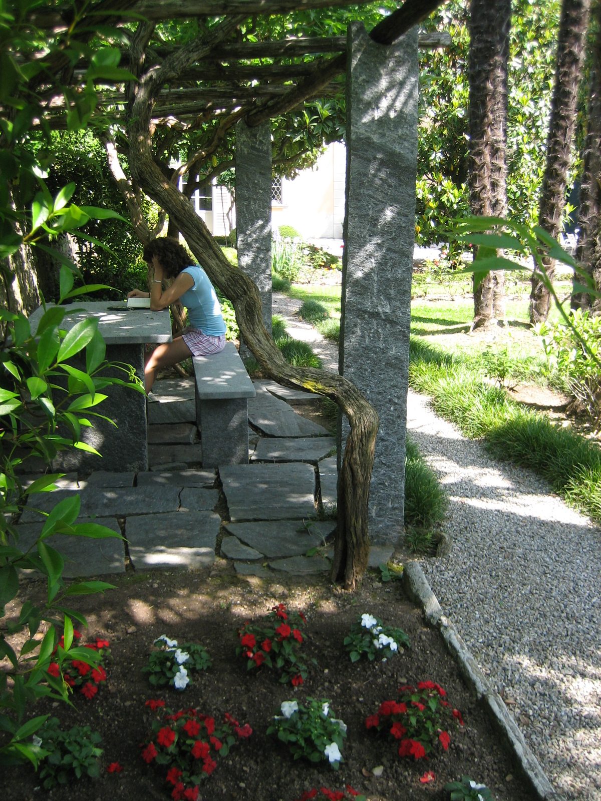 Maggie reading under some very neat trees that had either been trained to have branches at the...