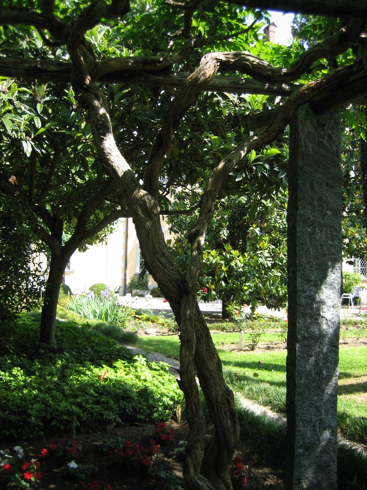 Neat trees.