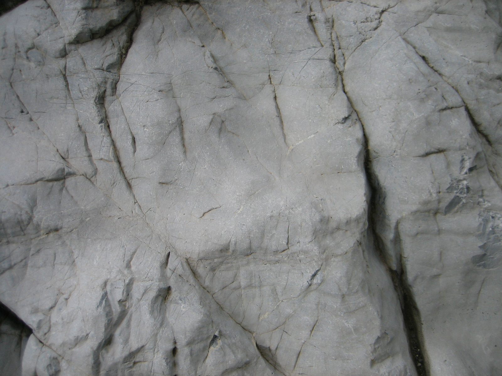 I feel I could almost convince someone this is a picture of a large rock face.  Quick, look for...