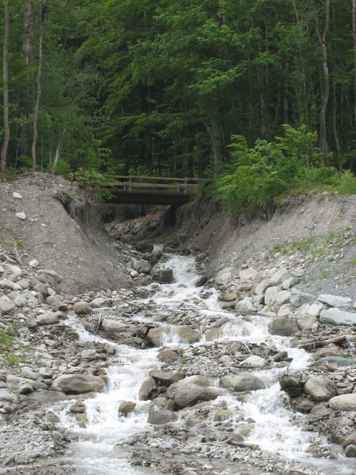 This little river was actually draining into the river under the Sunniberg bridge (the Landquart...
