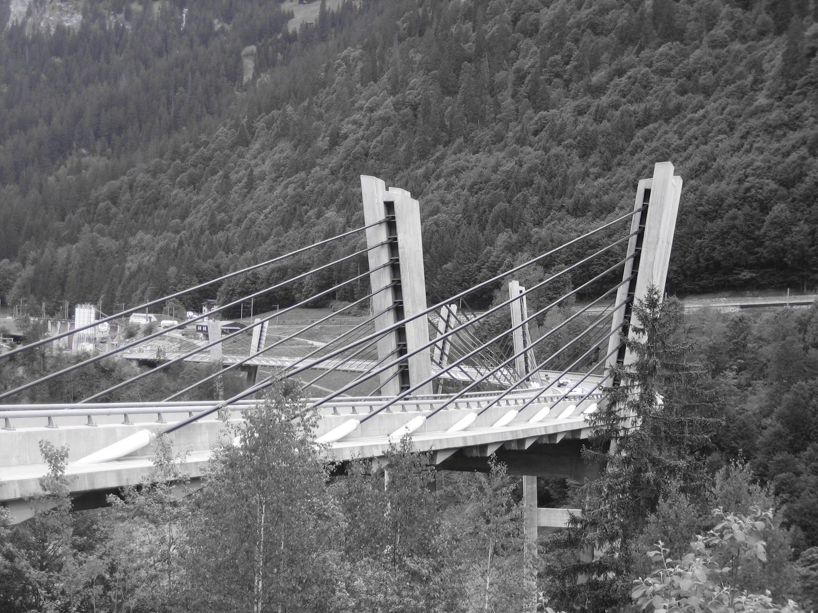 Sunniberg bridge from the top.  The flare of the columns is really evident here, as is the sweep...