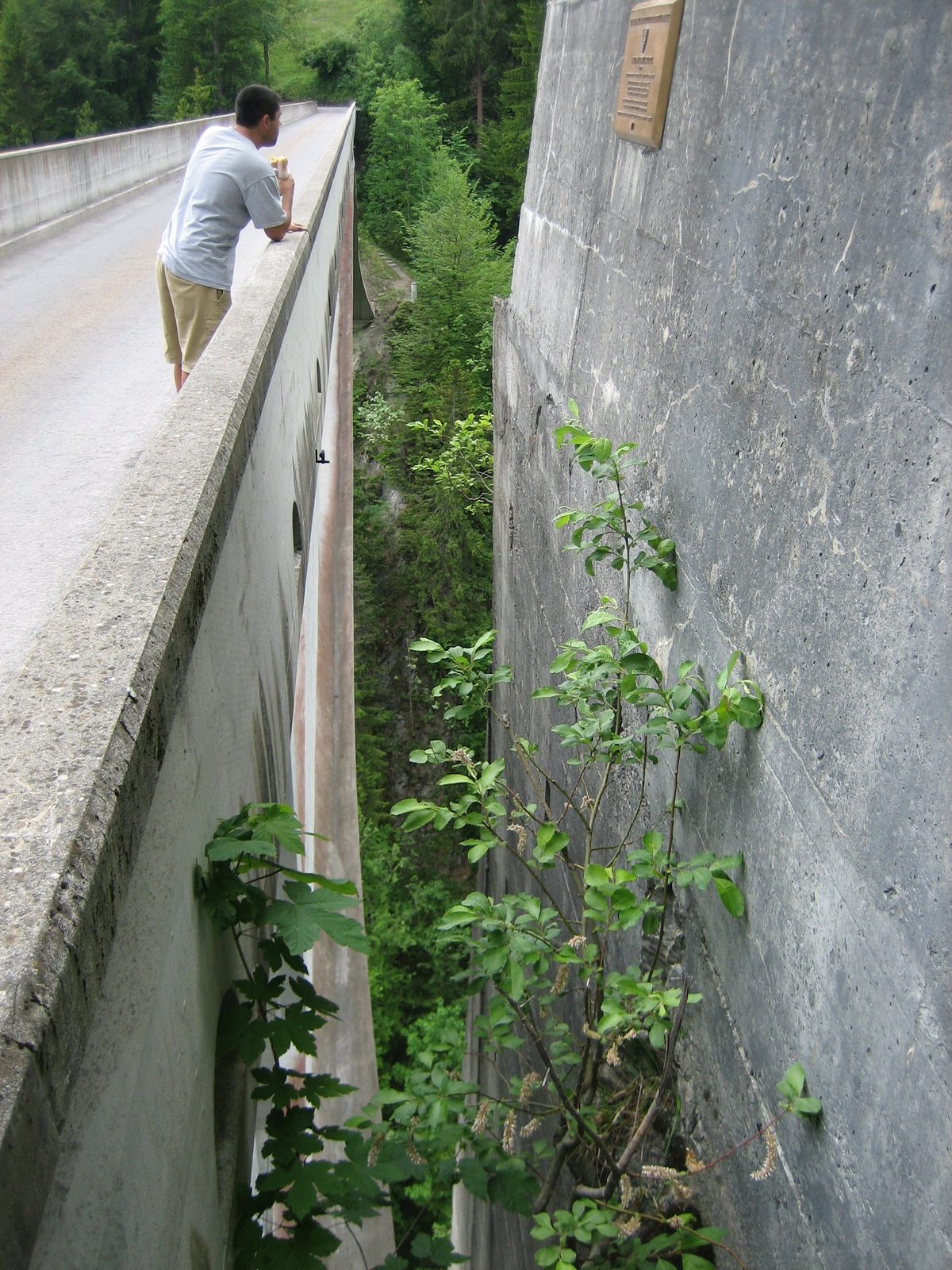 My view from my lunch spot.  That's the bridge there on the left, and a kind of bizarre concrete...