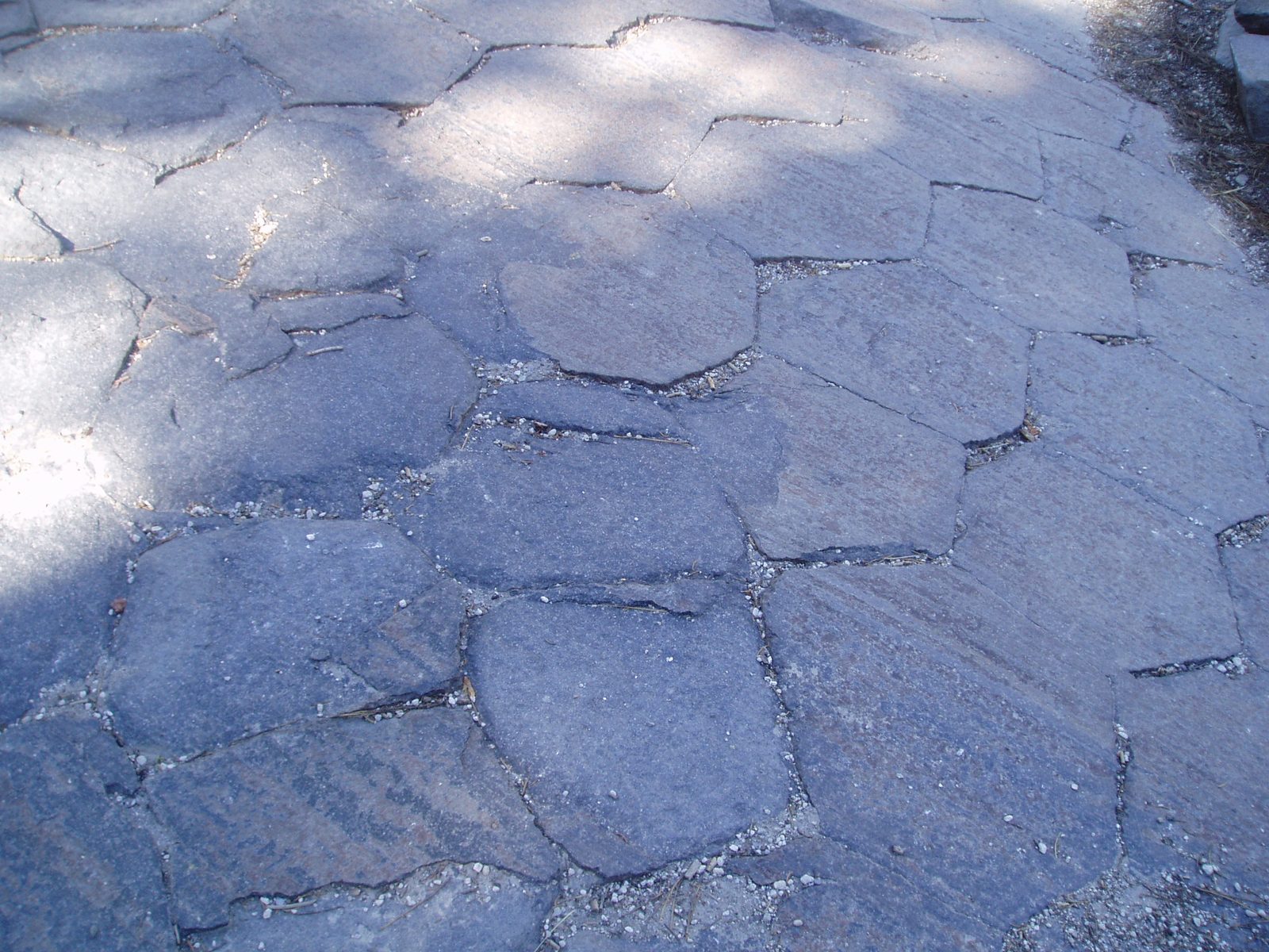 Glacial action wore the tops of the basalt columns as smooth as a tile floor in places.