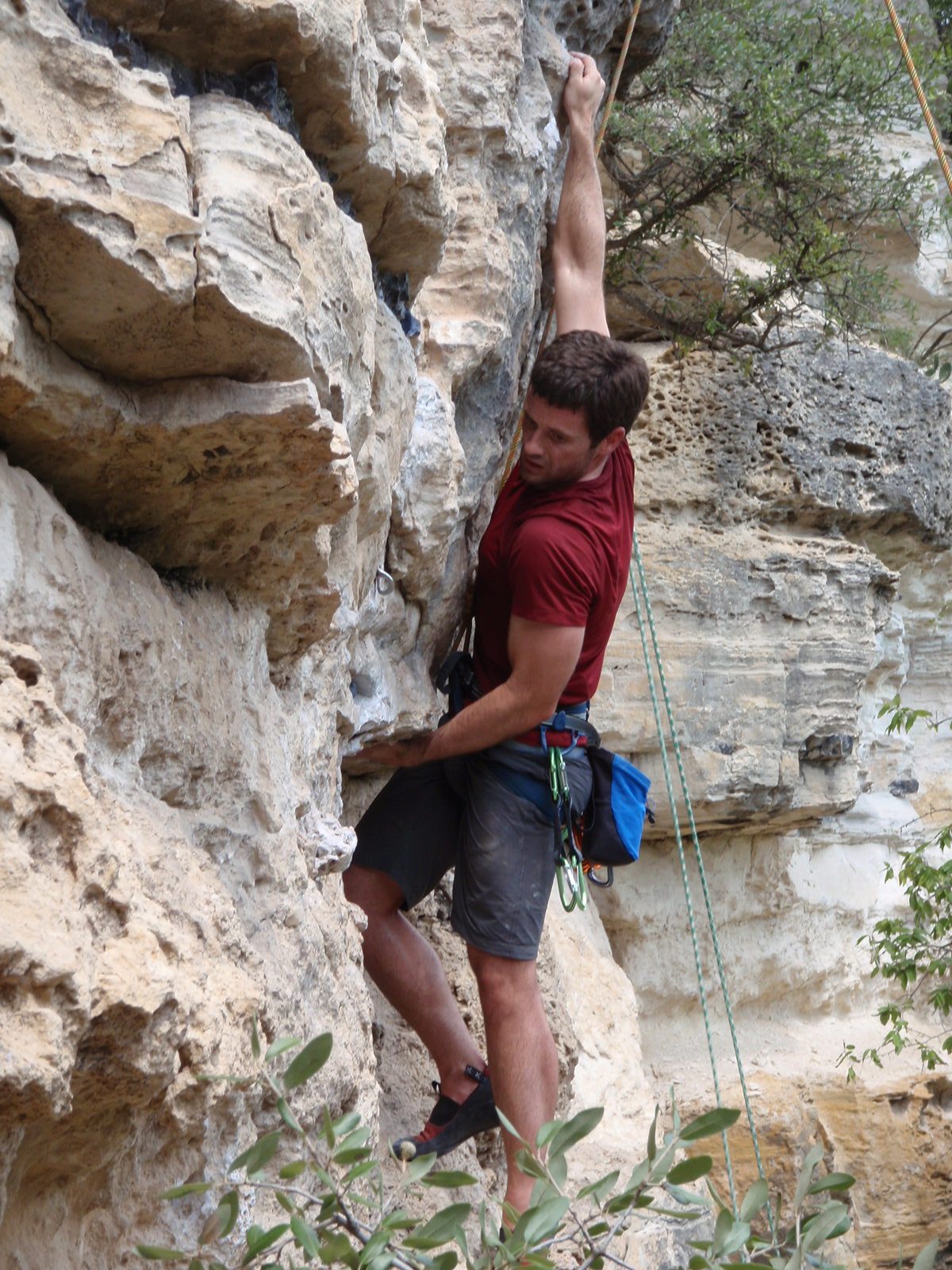 Jay, looking for a good hold.