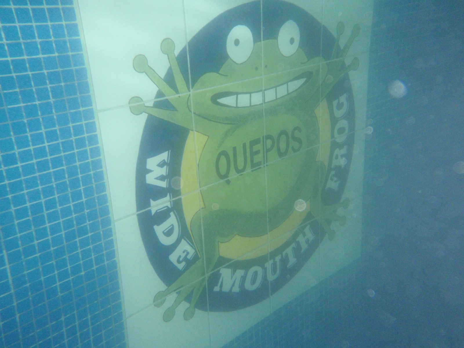 Cute tiling on the wall of the pool at our hostel. Also, there really are wide mouth frogs here....