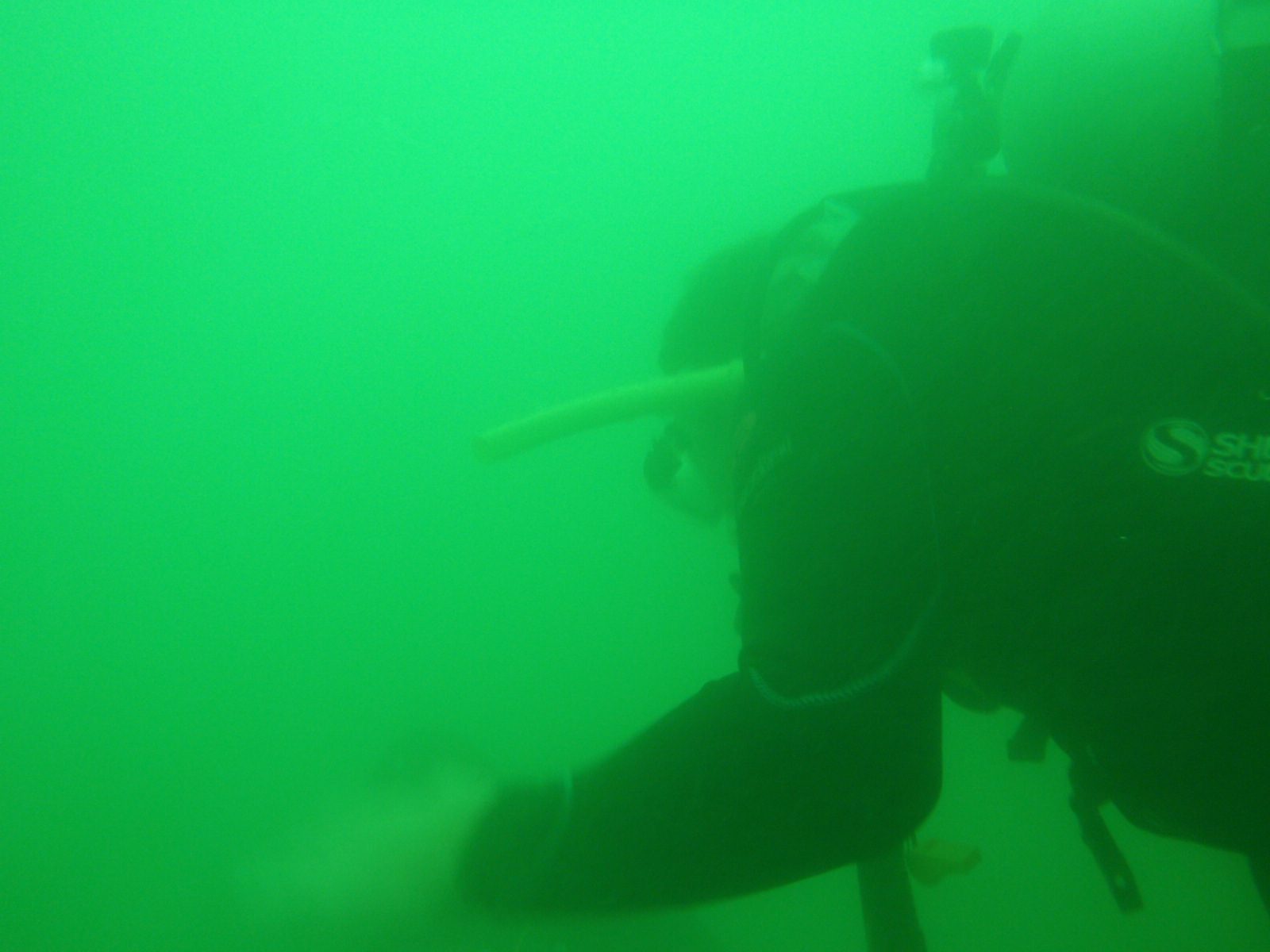 ... Well, this is is it. I would say under the best of times our visibility was maybe 8-10 feet.