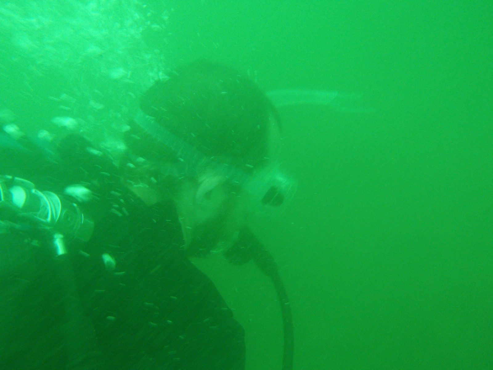 Here's Joel. The first day, we had three dives. On the second dive, I got partnered with Morgan...