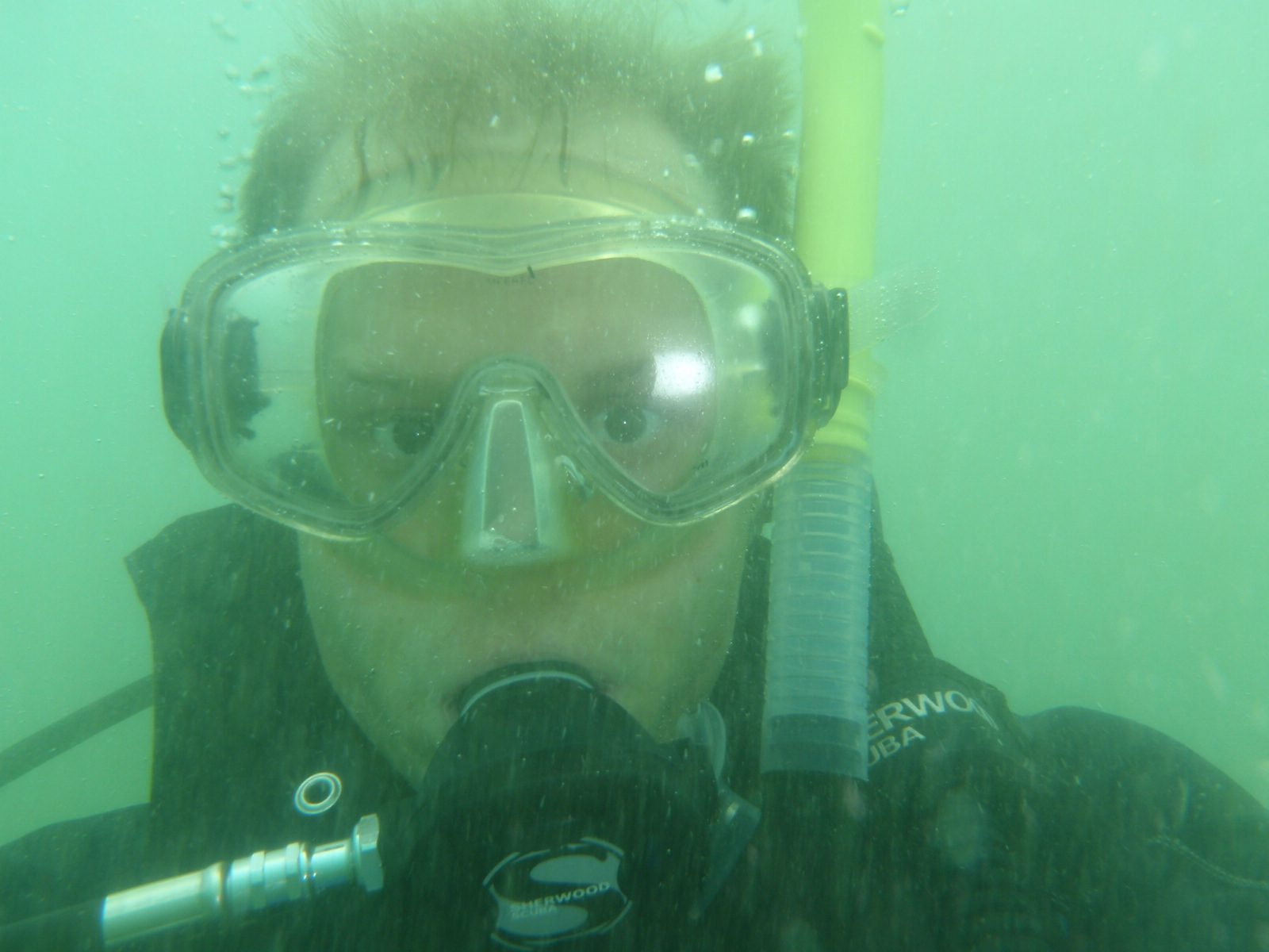 Yep, I'm cold. At least I'm closer to the surface now. Must be toward the end of the dive.
