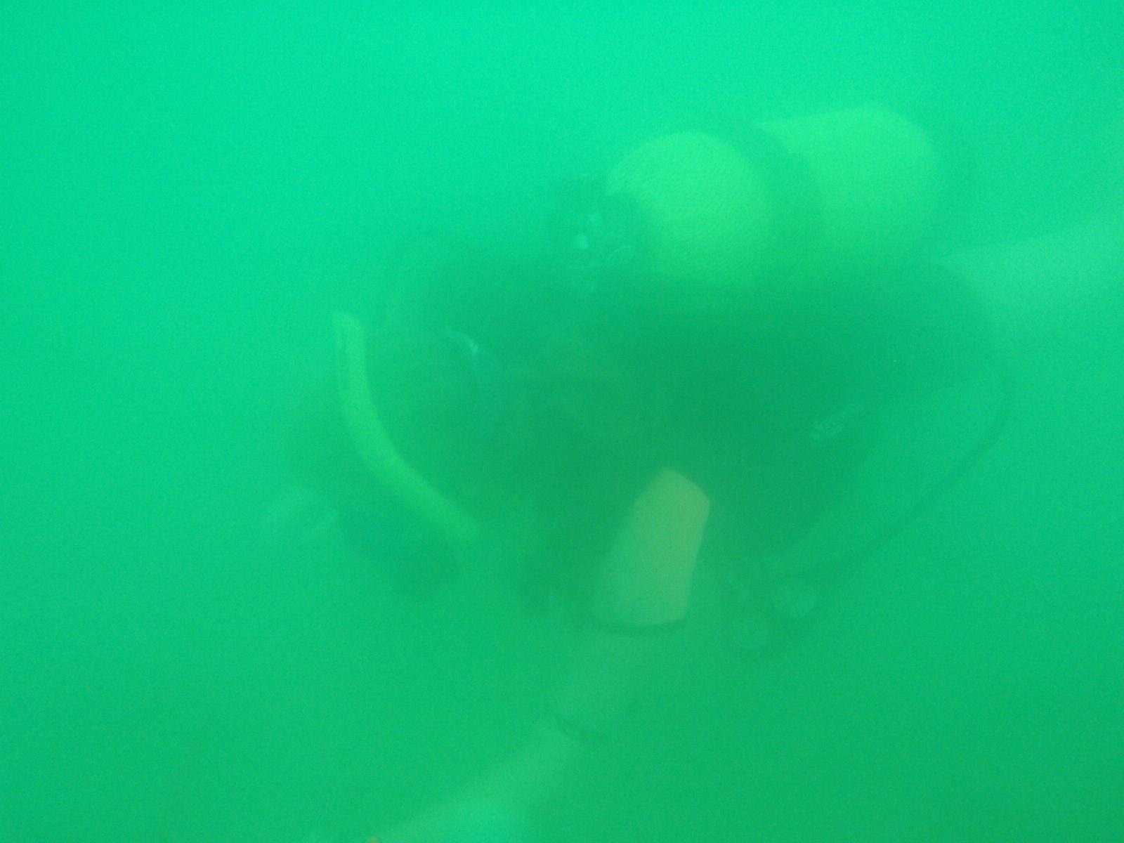 Awesome visibility!