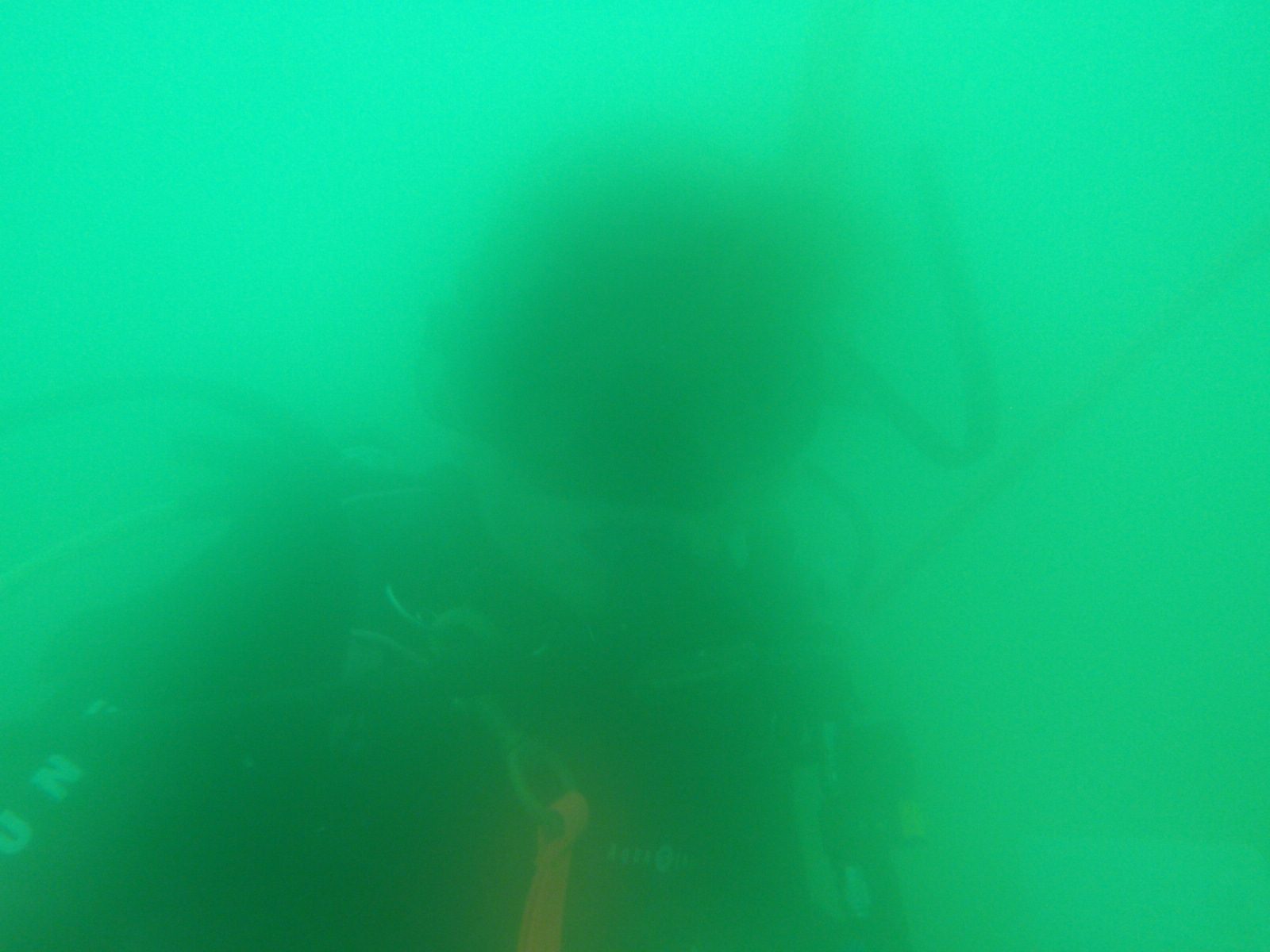 And then my lens started to fog up! I need to get desiccant packets for my underwater camera...