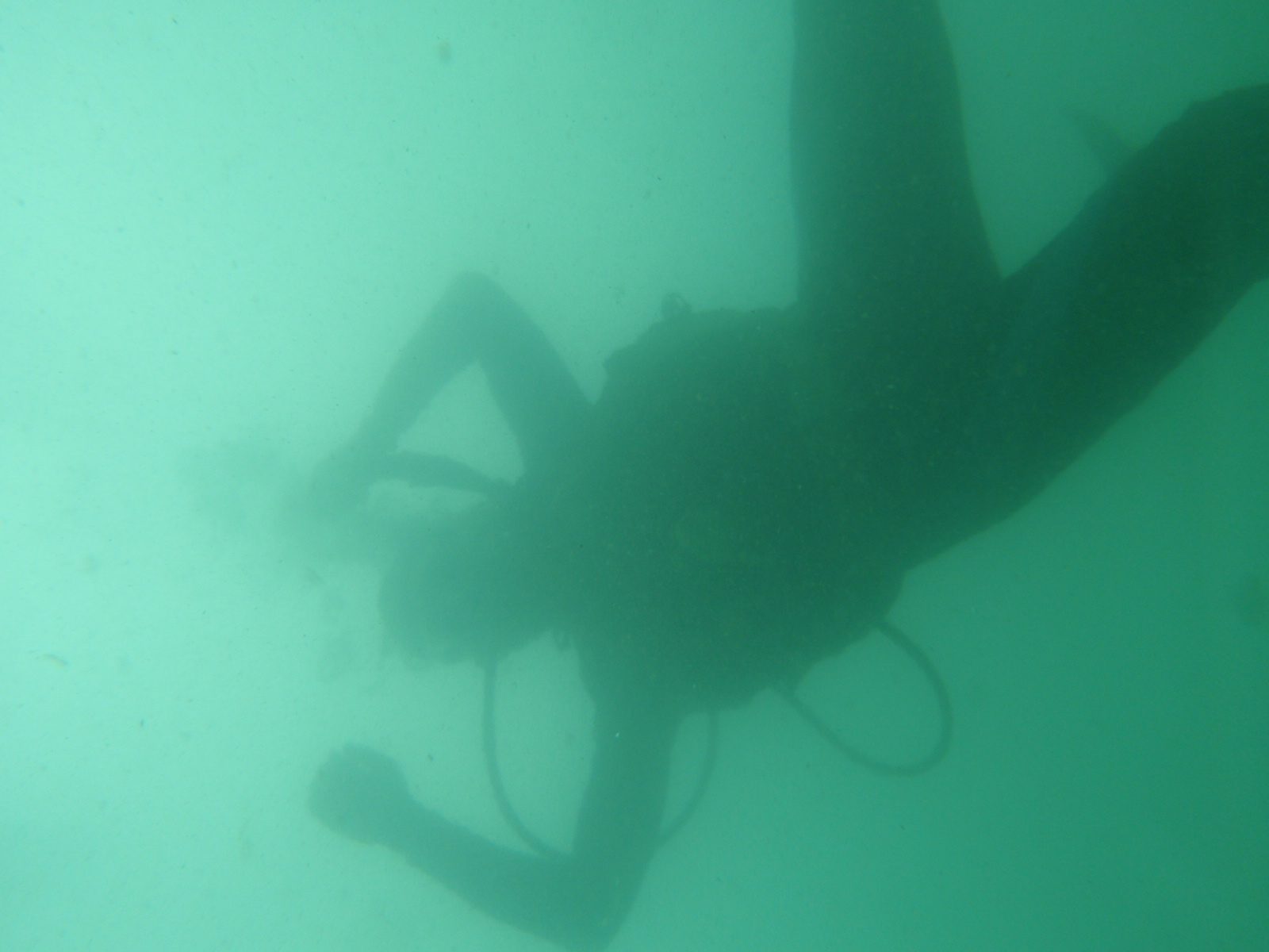 Joel, above me while we are diving.