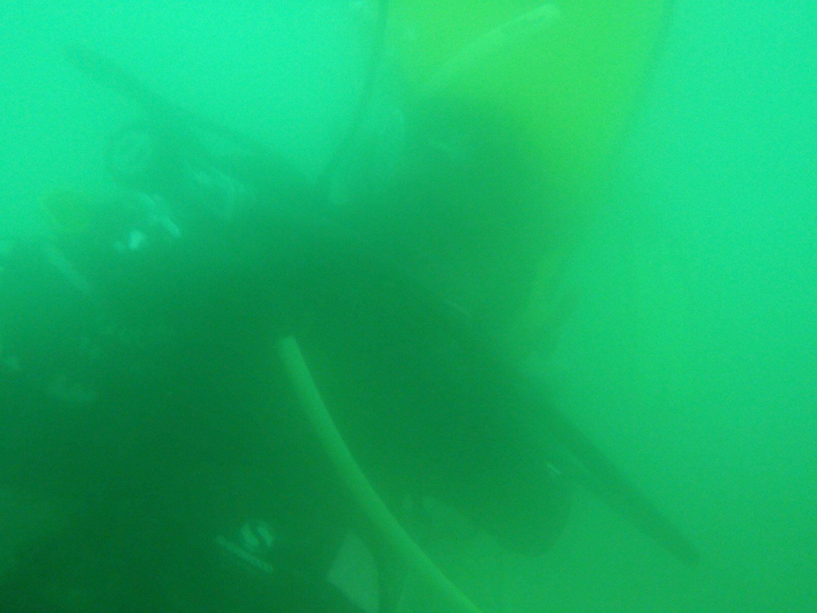 Nevertheless, here's Joel filling up a balloon with air from his regulator. The balloon is...