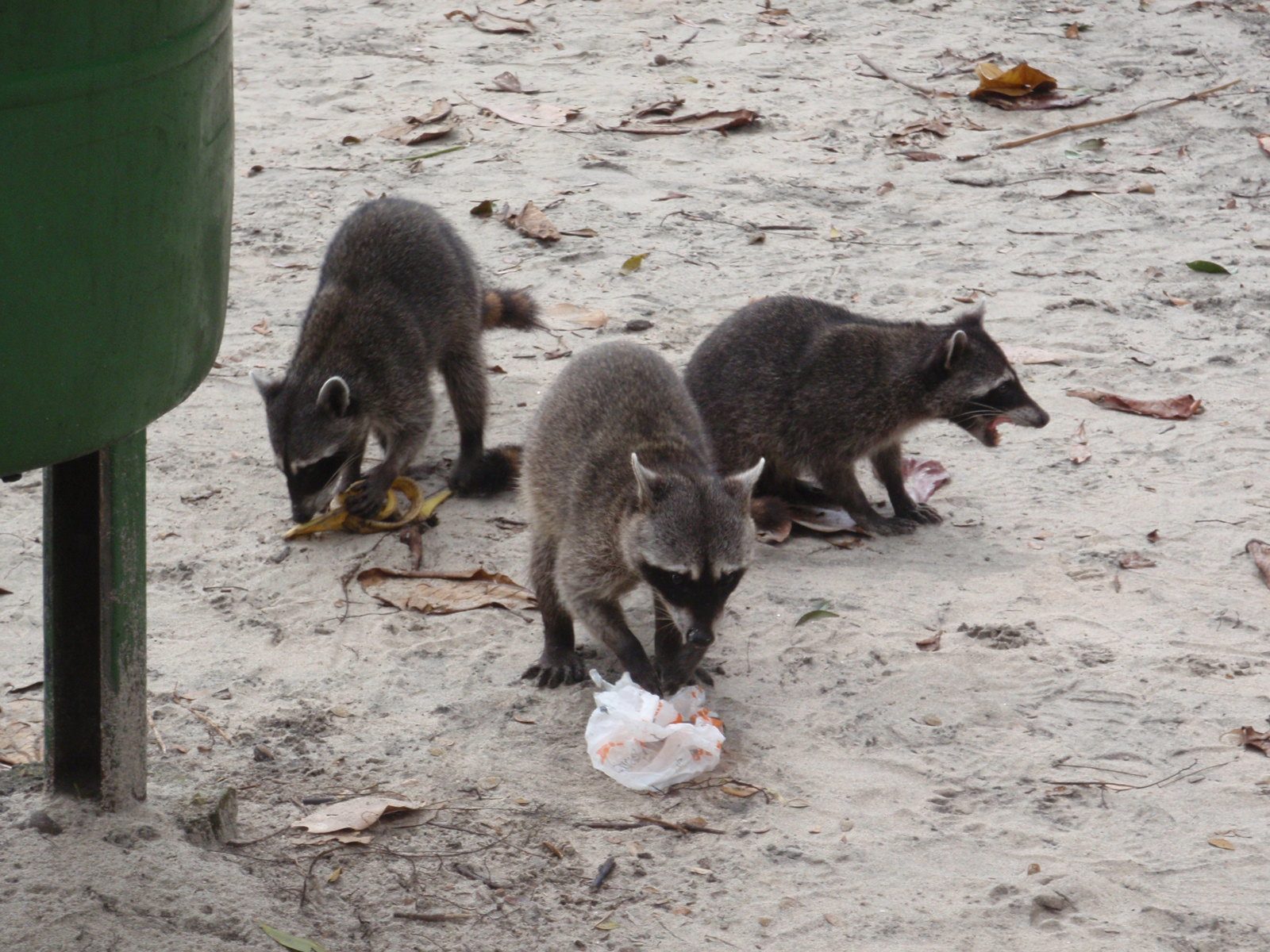 Lunch!