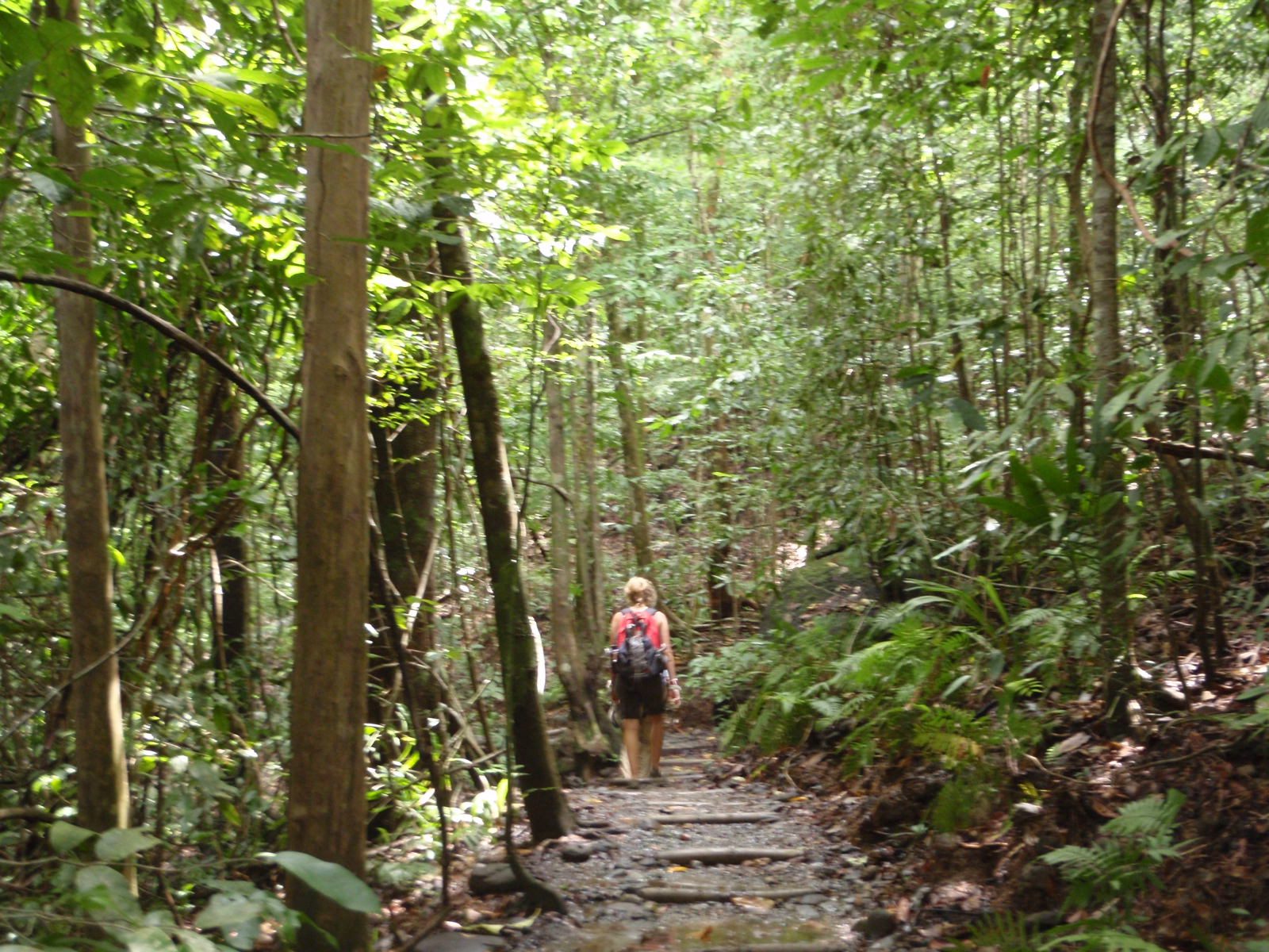 Morgan wandering through the jungle