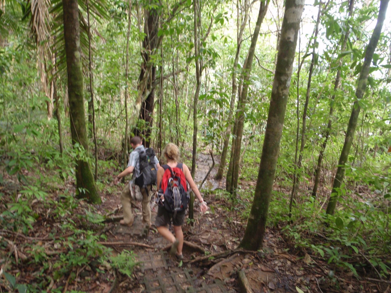 Still wandering through the jungle. Joel decided to go barefoot since his shoes were not comfortable.