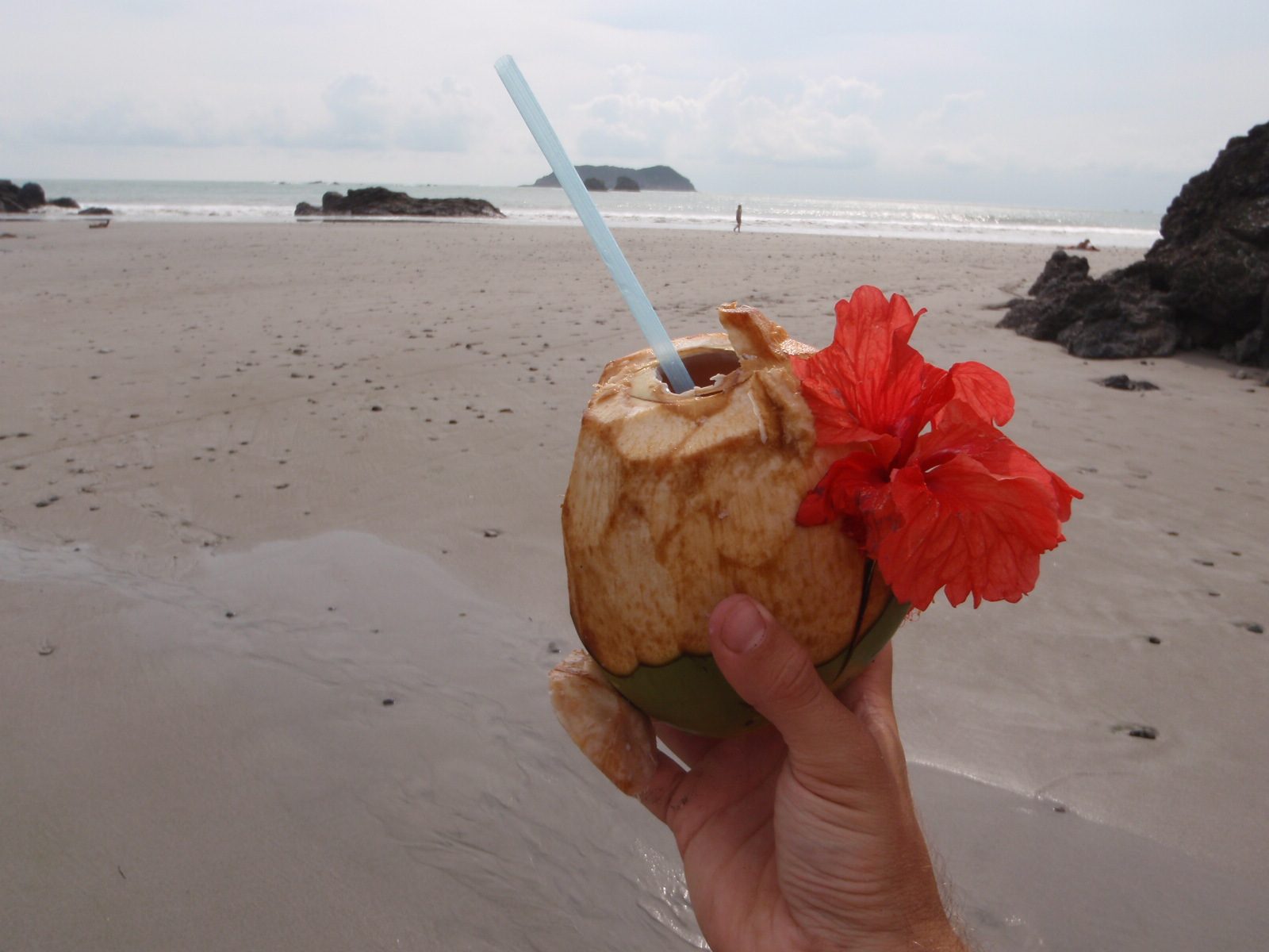 Just outside the park near the bus stop, an old man sold me two coconuts decorated with flowers...