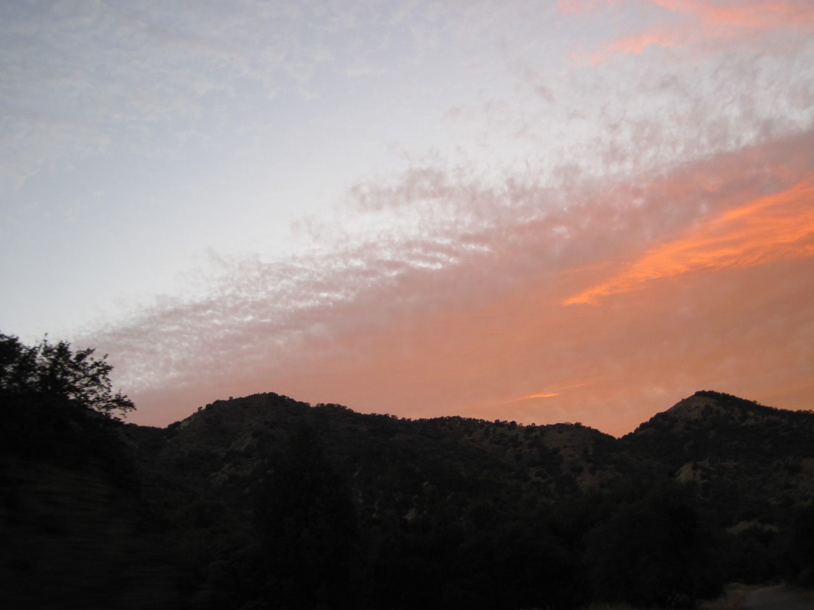 On Saturday afternoon, Colin and I packed into his VW Golf and headed south for the North Fork...