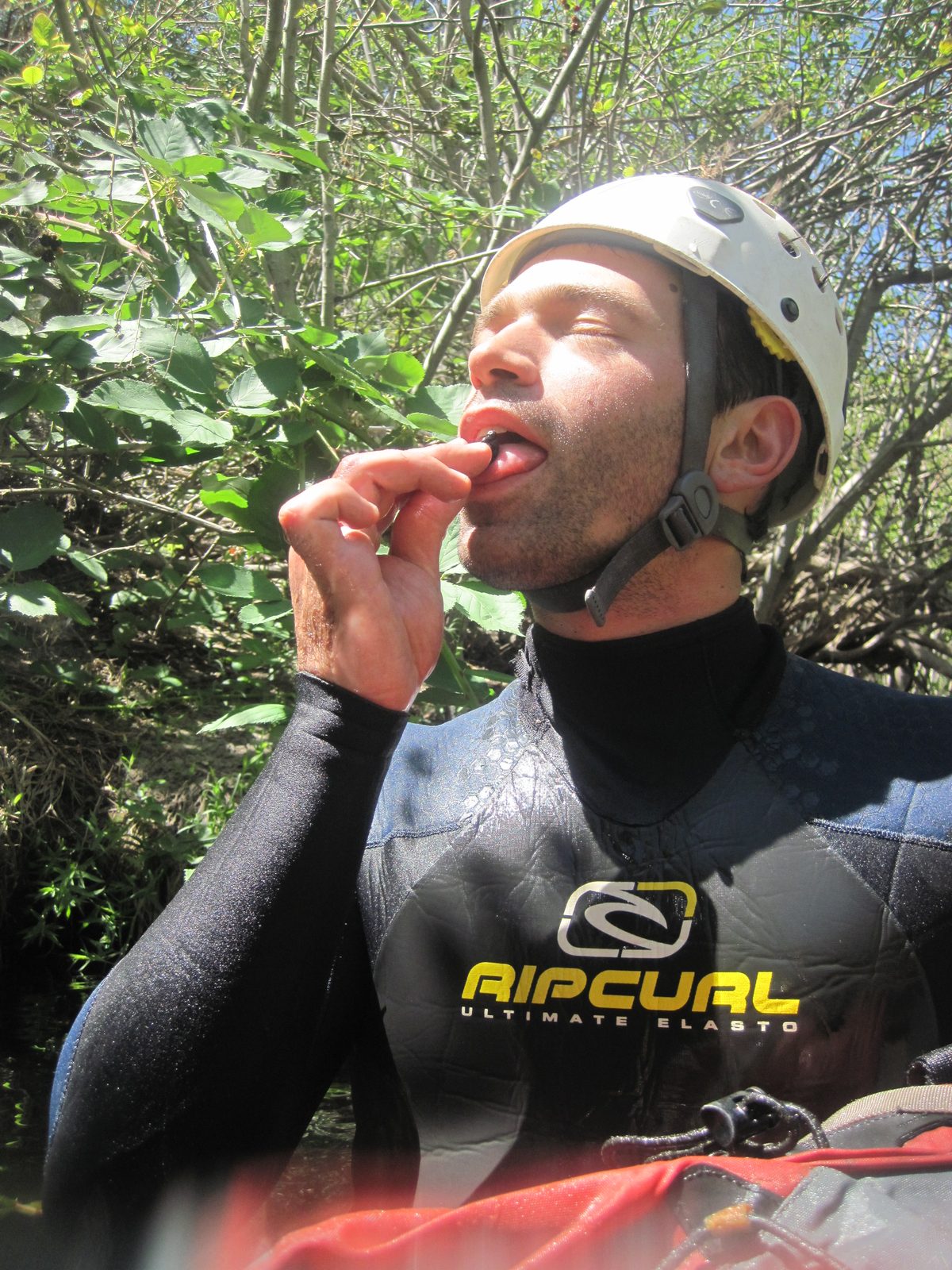 Colin enjoys a wild blackberry. They really were about this good.