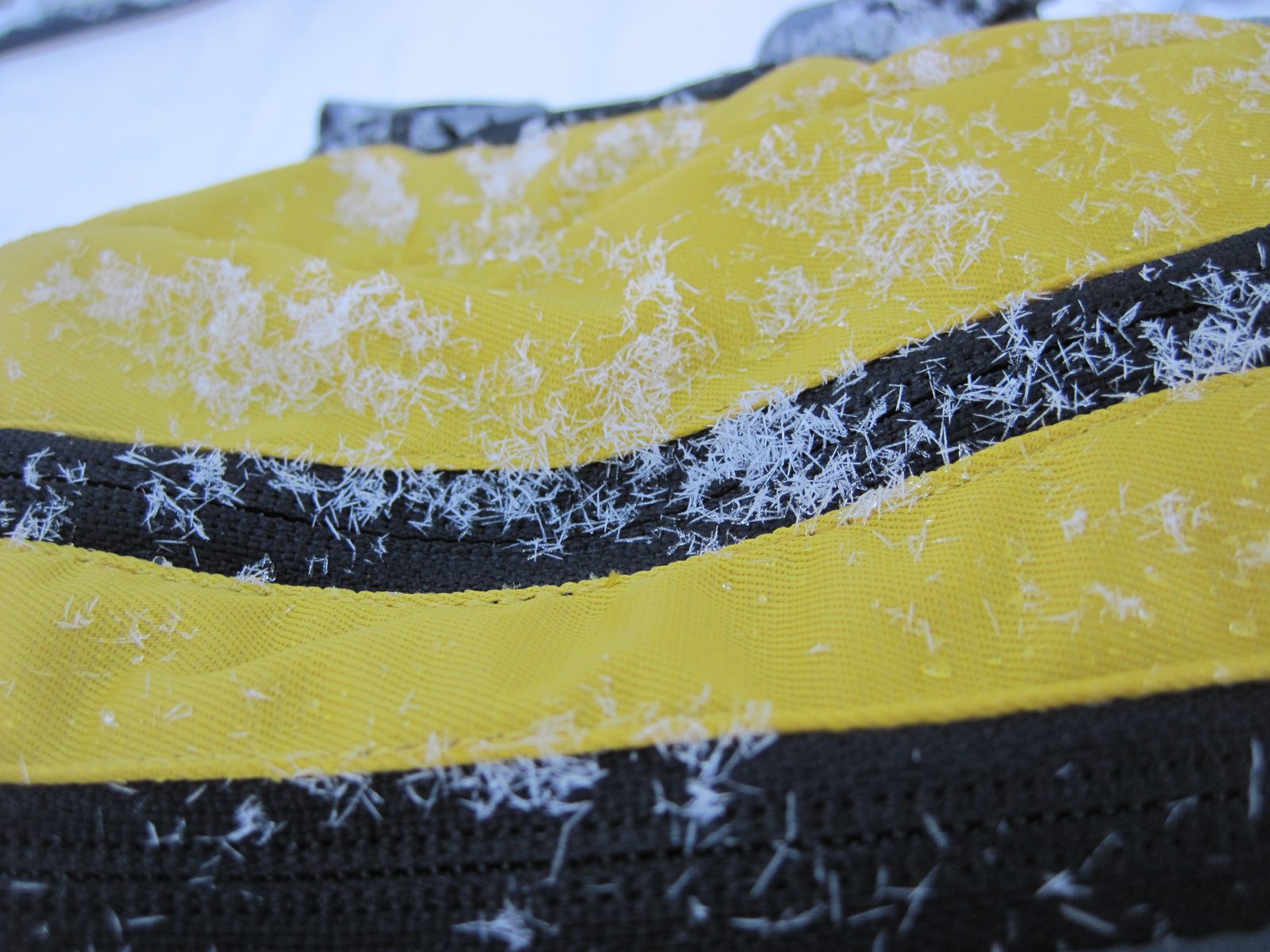 Interesting needle shaped snowflakes that had been falling most of the afternoon.