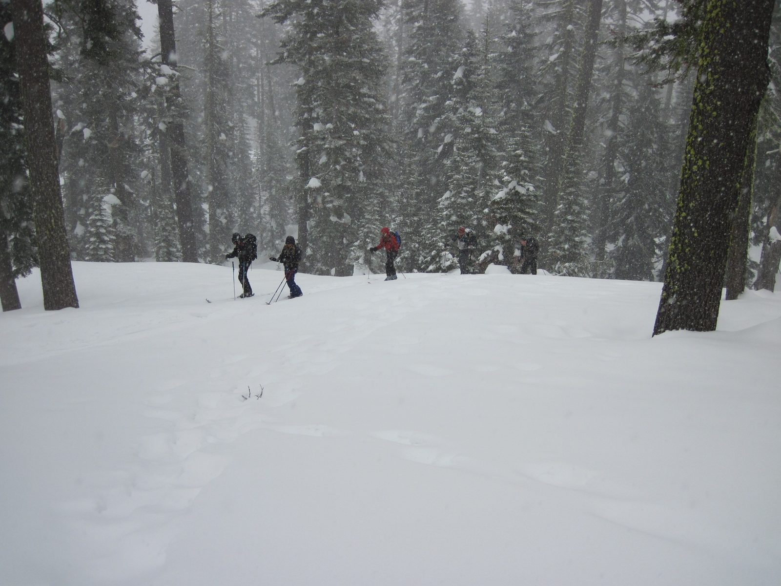 On Sunday, we self-planned a full day ski tour using the knowledge we had learned over the two...