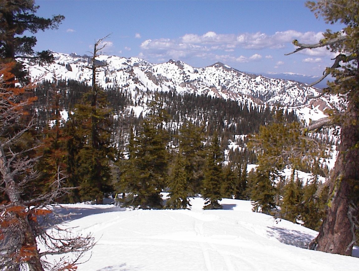 Rachel, skiing, at far left (look closely).