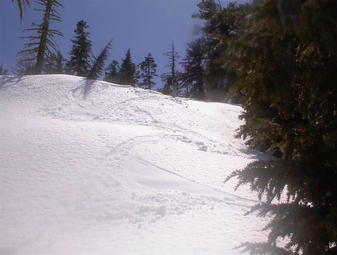 More tracks.