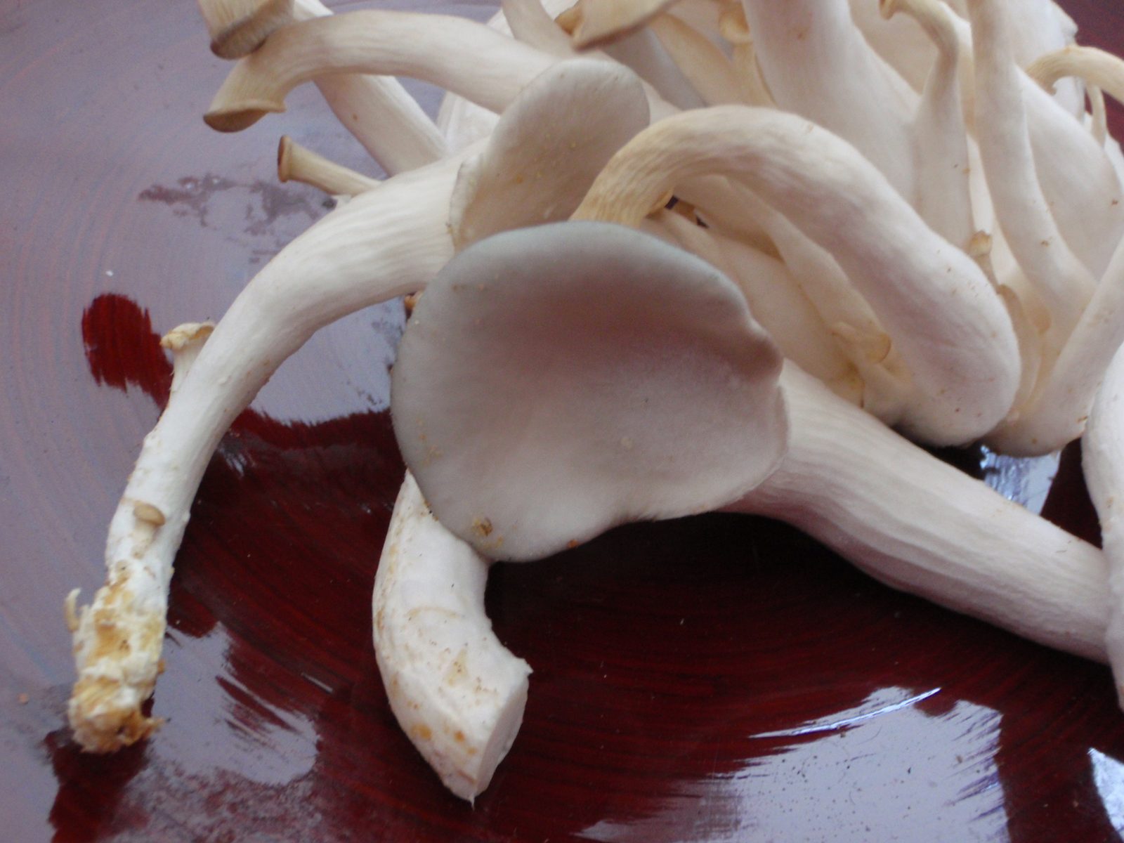 Mushrooms sitting in a bowl.
