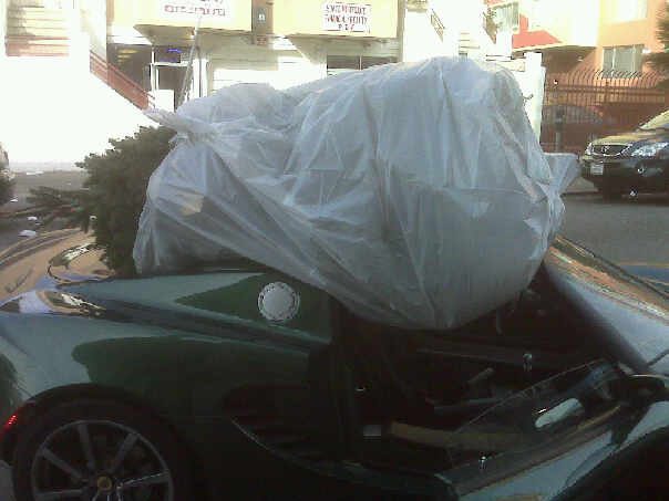 "Just keep it under 60" ... sage words from the Delancey Street Foundation christmas tree lot...