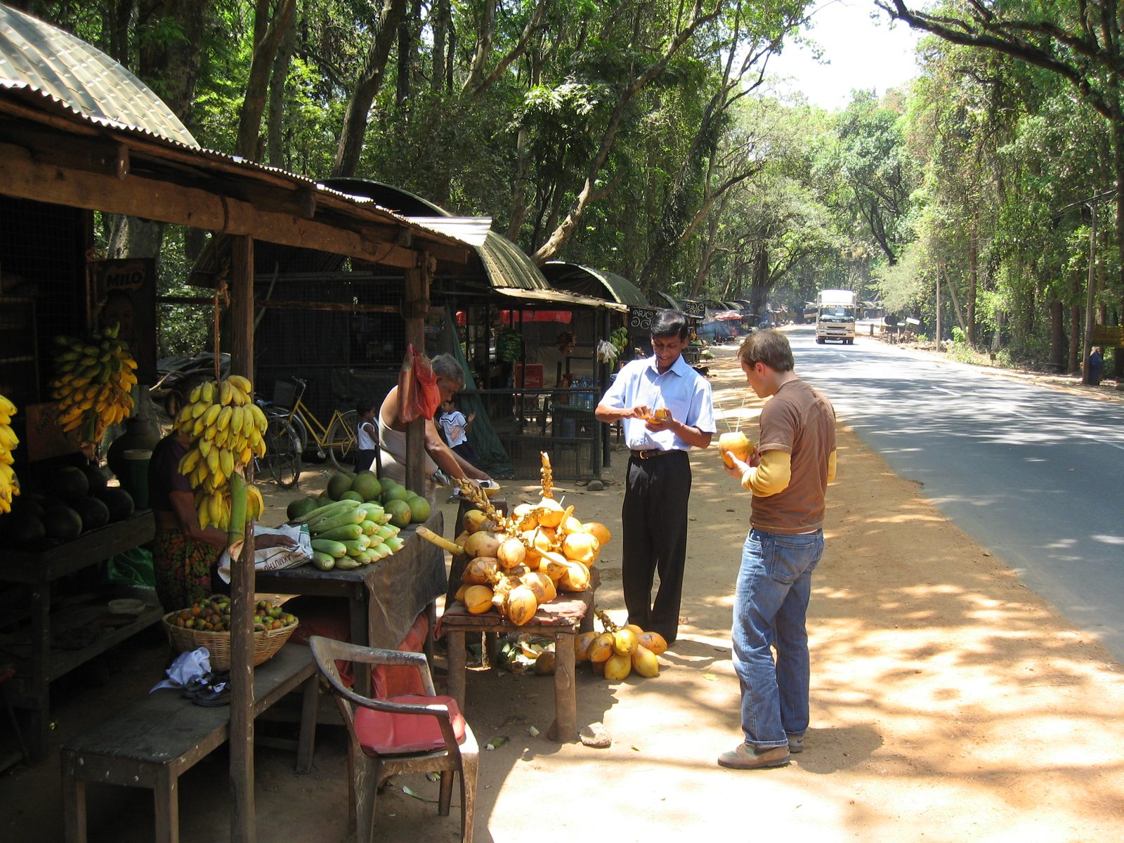 John trying a yellow coconut in Sri Lanka.