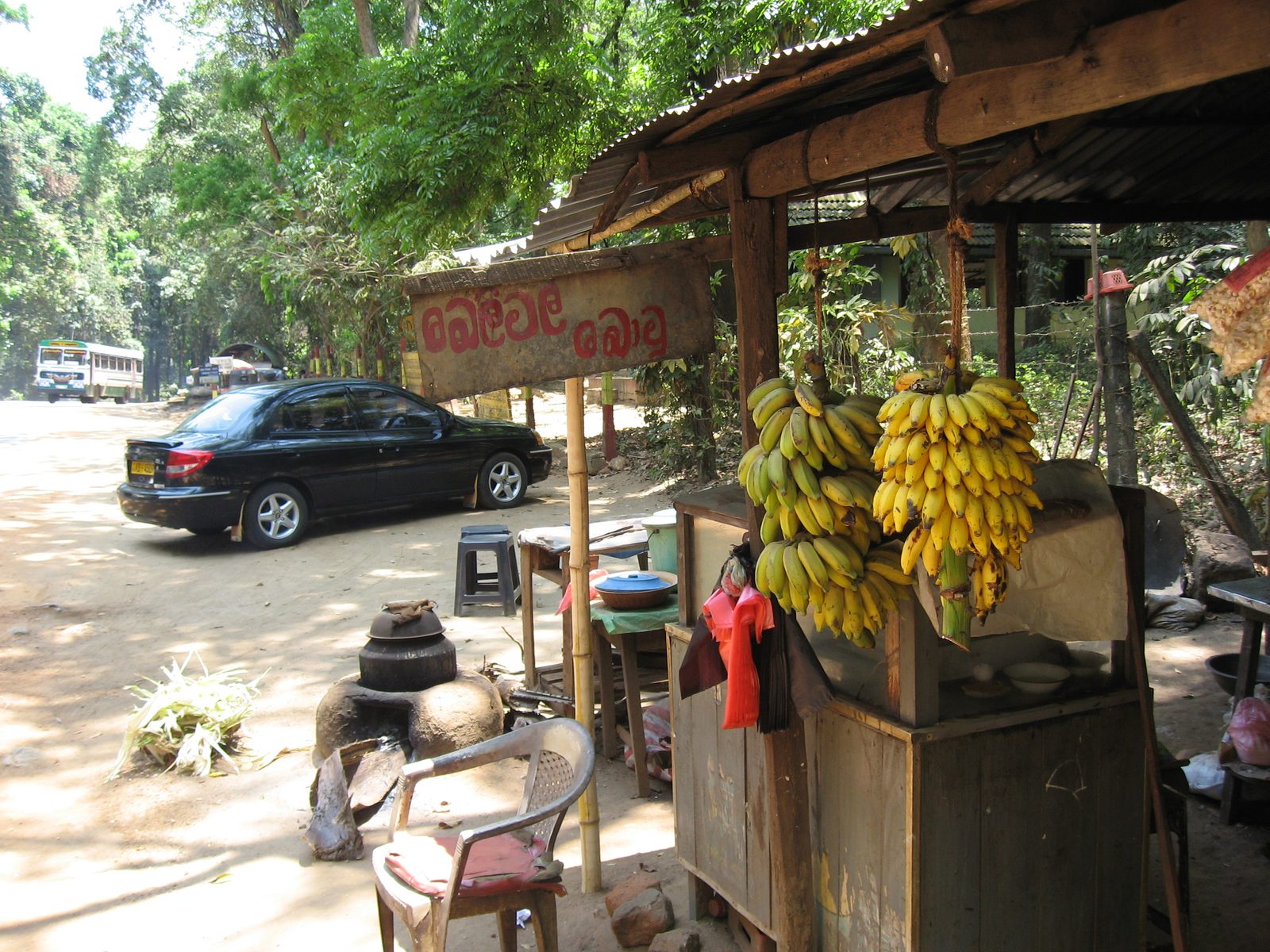 Bananas for sale.  These were way sweeter than the larger Cavendish variety available at U.S....