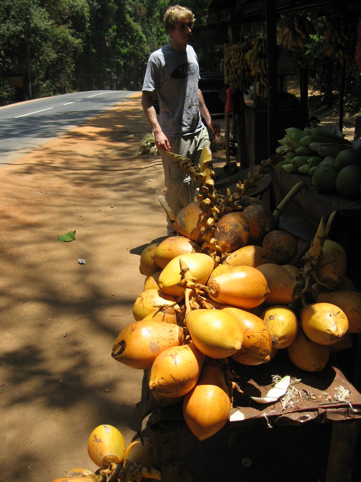 Trevor, behind a pile of young coconuts for sale.