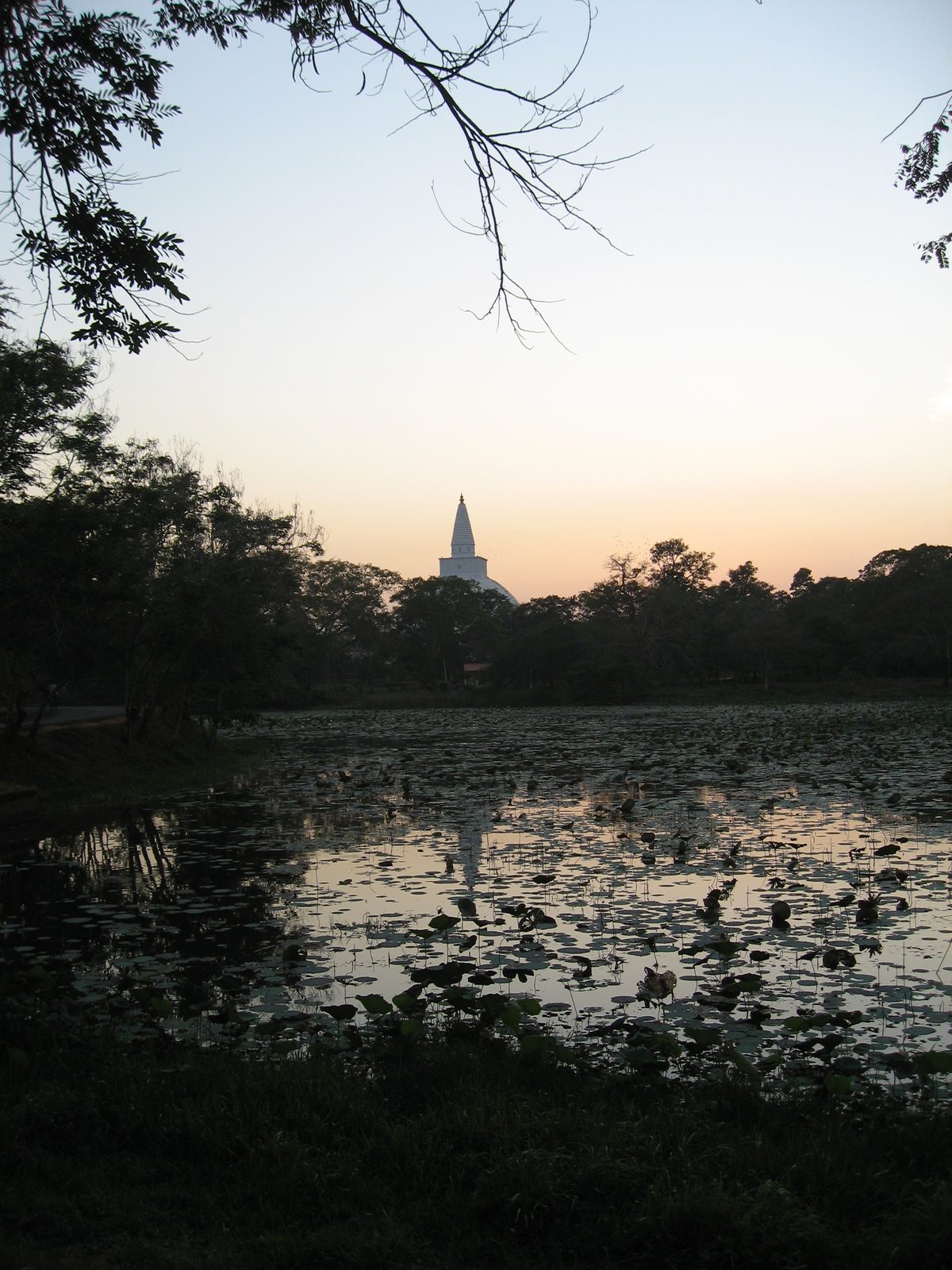 Ruwanwelisaya stupa reflecting in a lily pond.