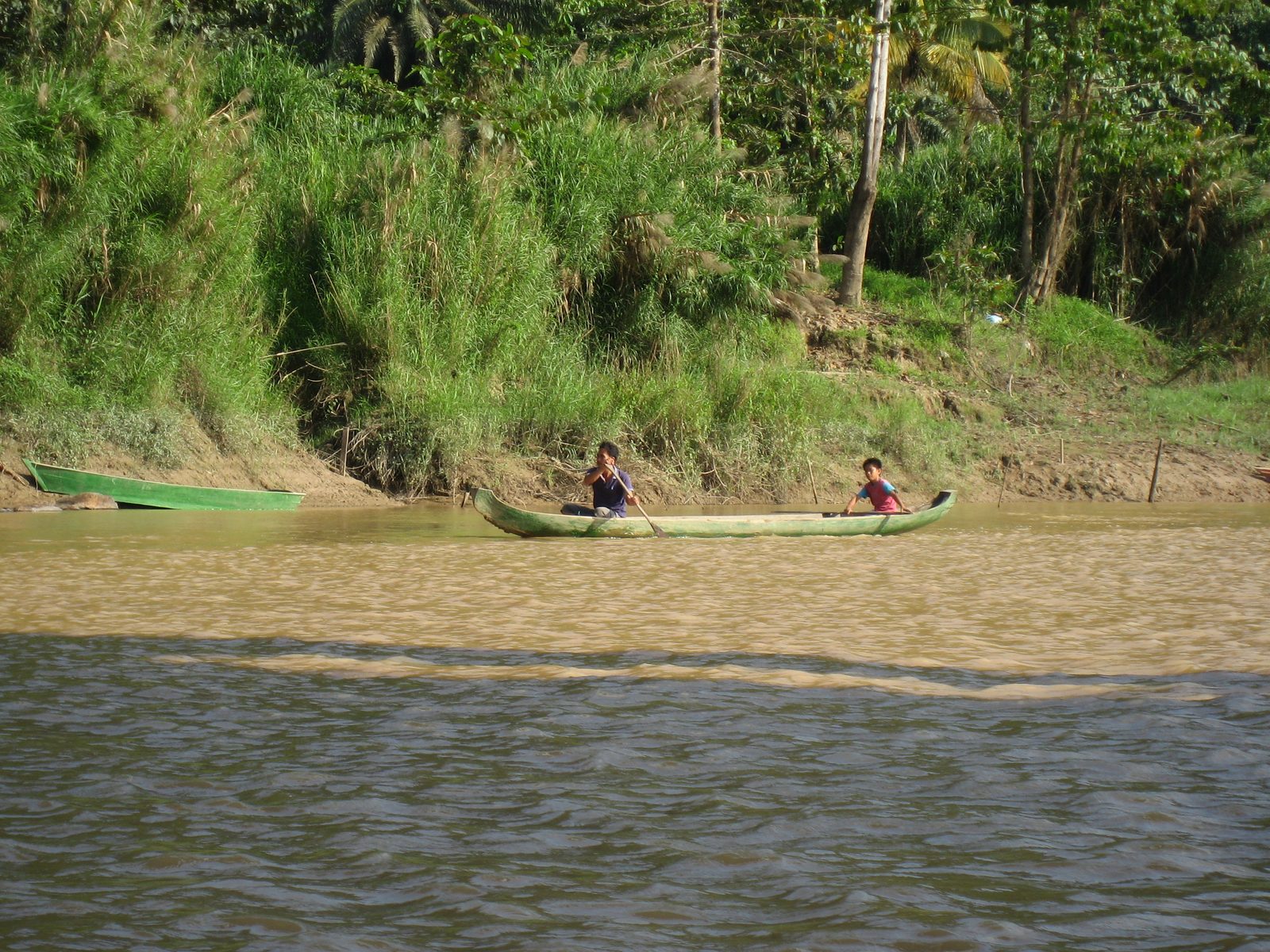 Some children of Borneo paddling a canoe through the jungle.  Our tour involved taking a bus to...