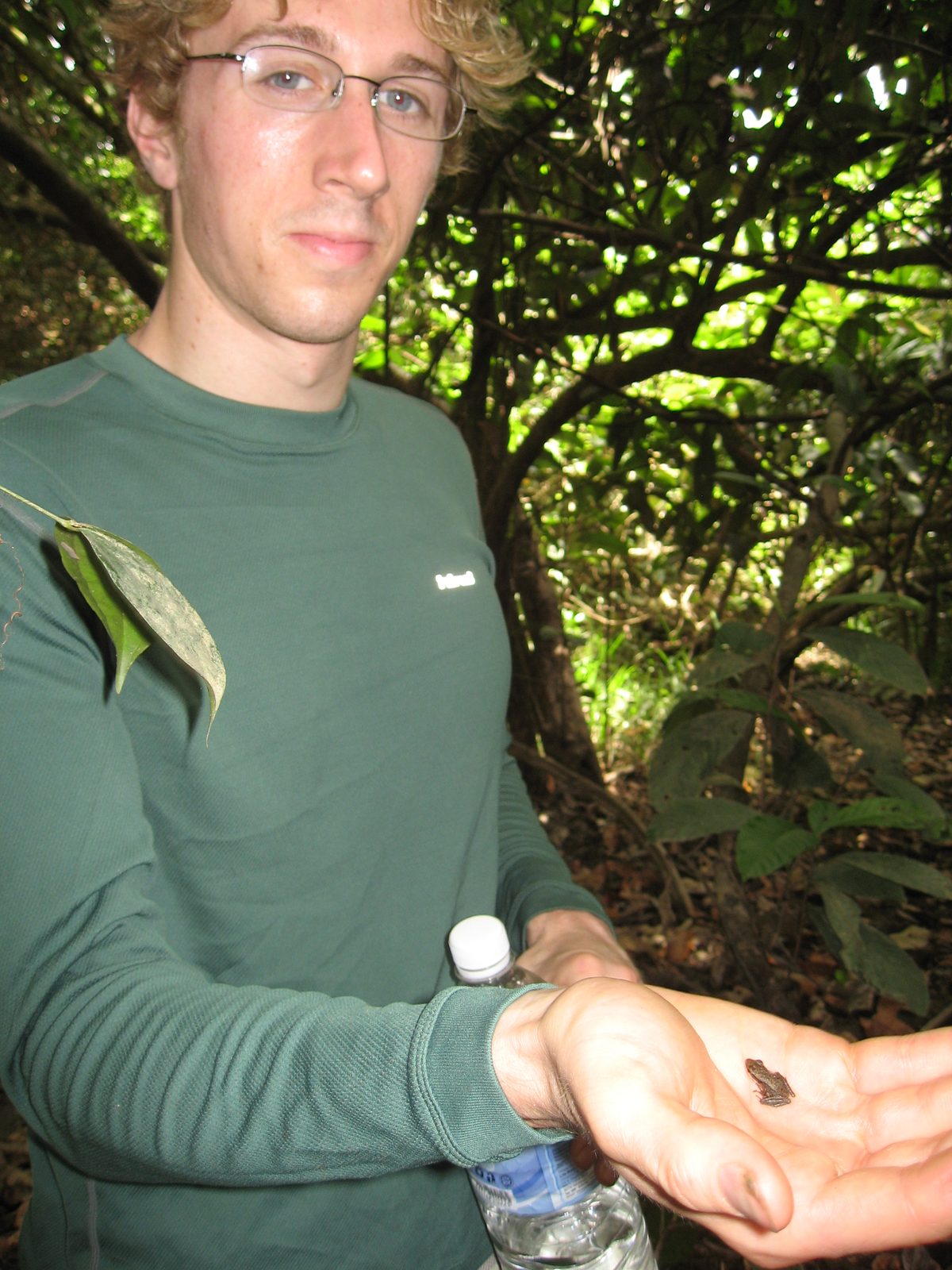 Trevor holds the smallest frog in Borneo.