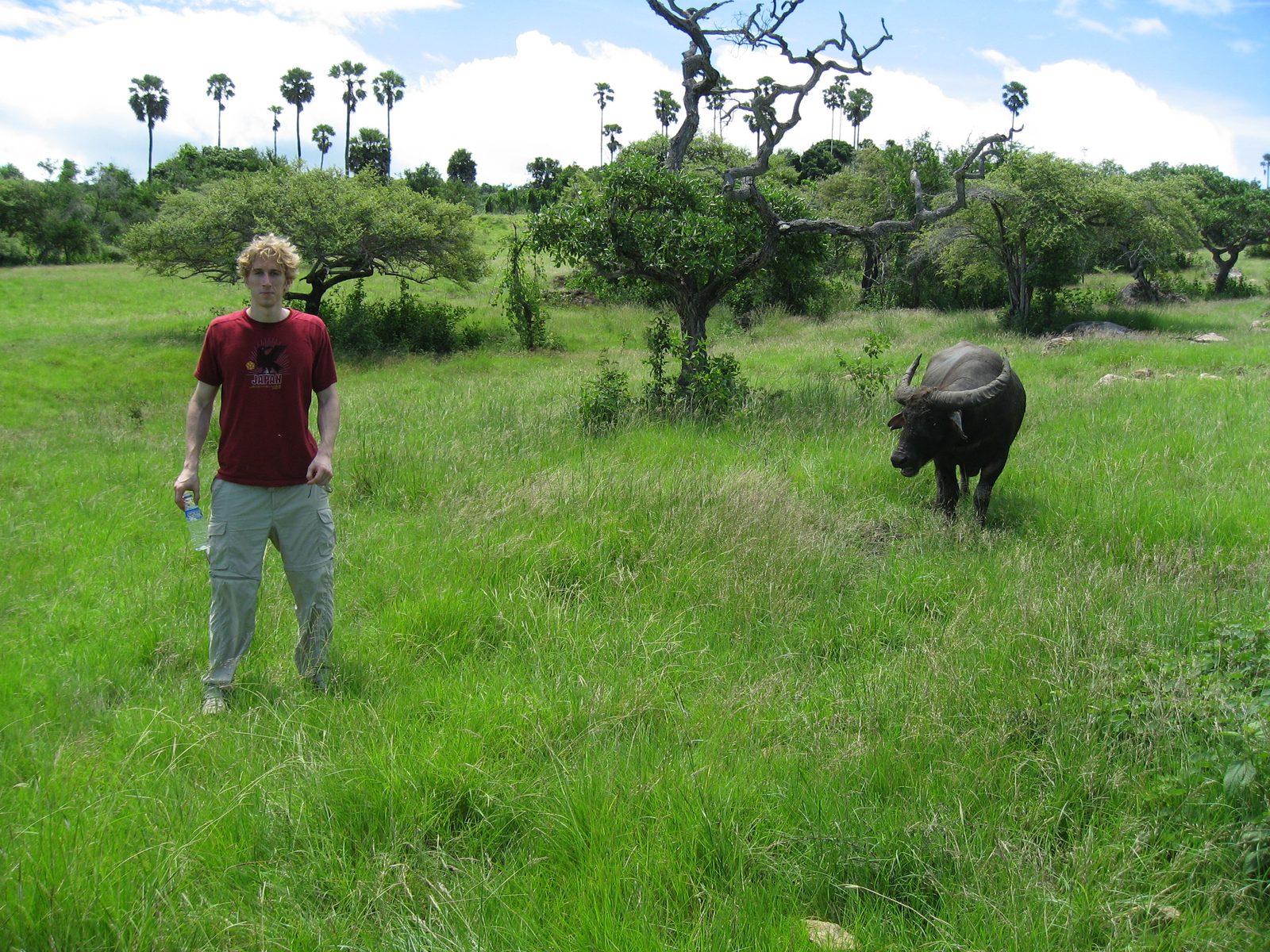 Trevor and a water buffalo on Rinca Island.