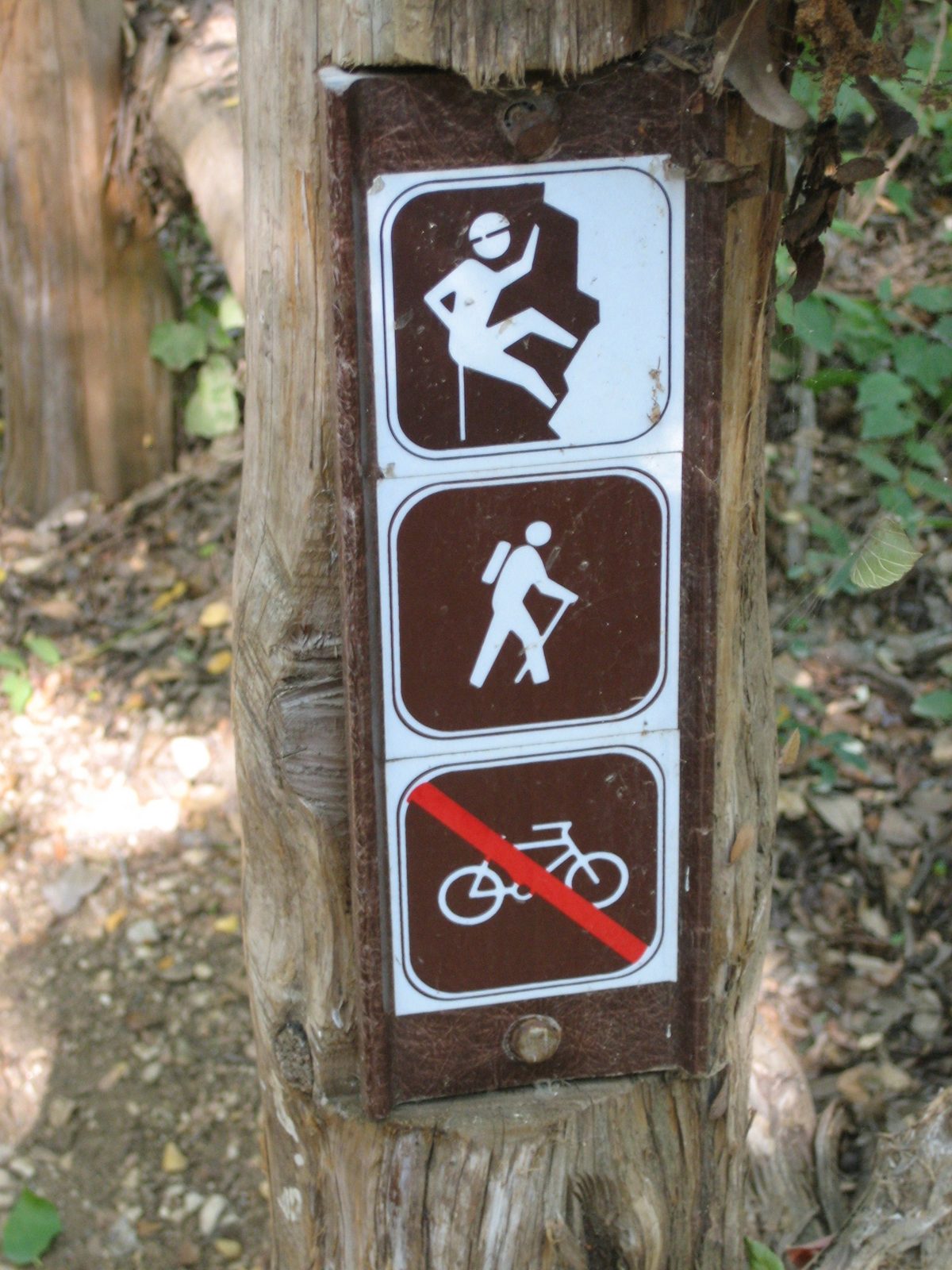 Universal pictogram of climbing.  Barton Springs Greenbelt, near downtown Austin.