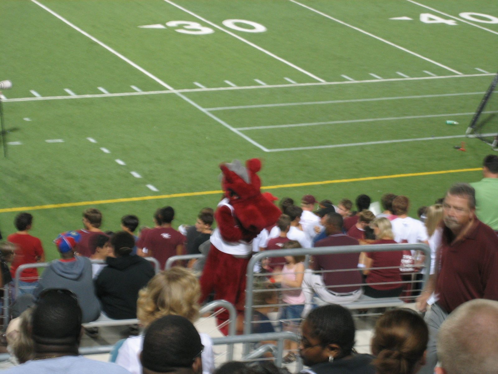 The Round Rock mascot, a dragon.