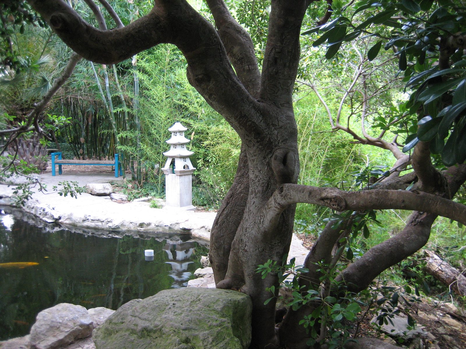 And the trunk of another tree.  While not awesome, the Botanical Garden was peaceful and had...