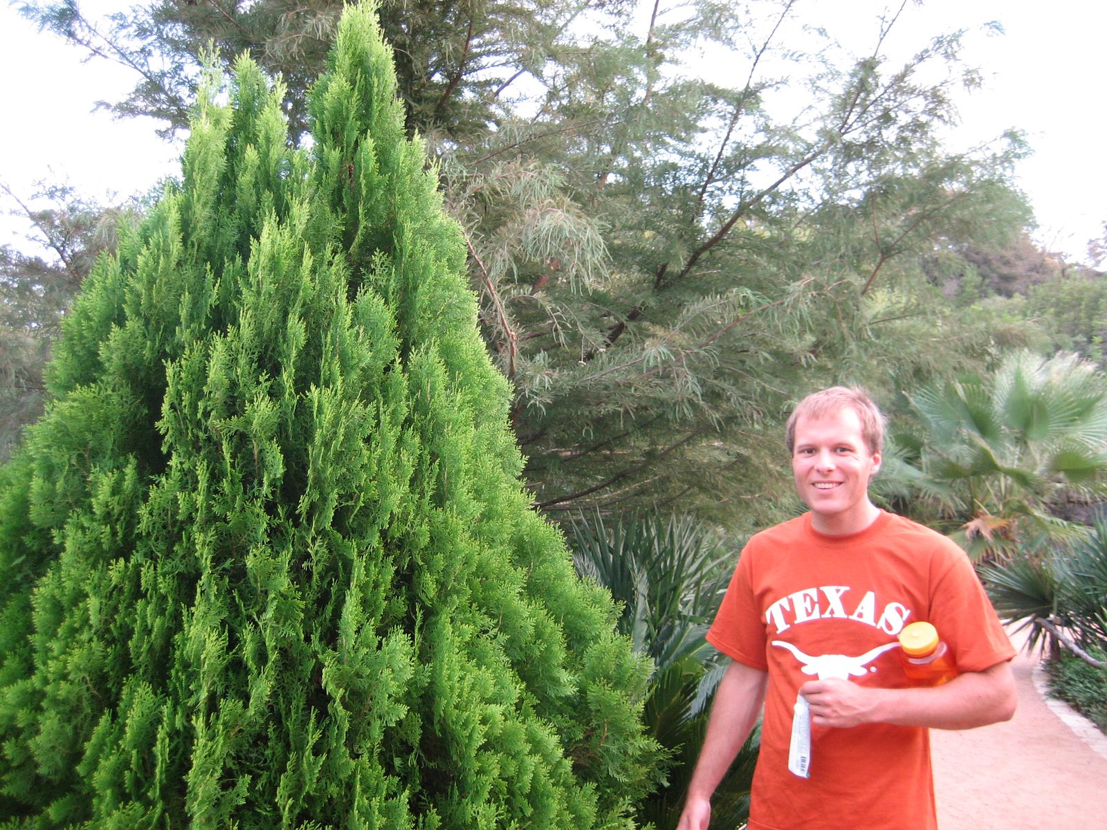 John in front of his favorite tree (a type of cyprus, perhaps?).
