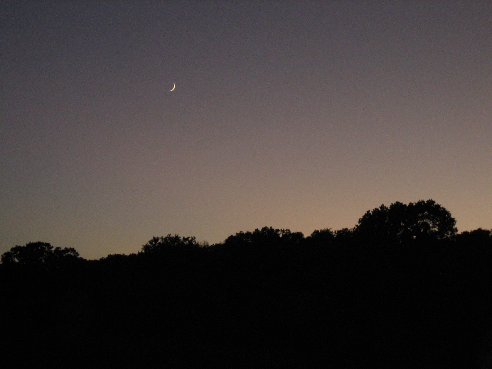 Moonrise over Austin.