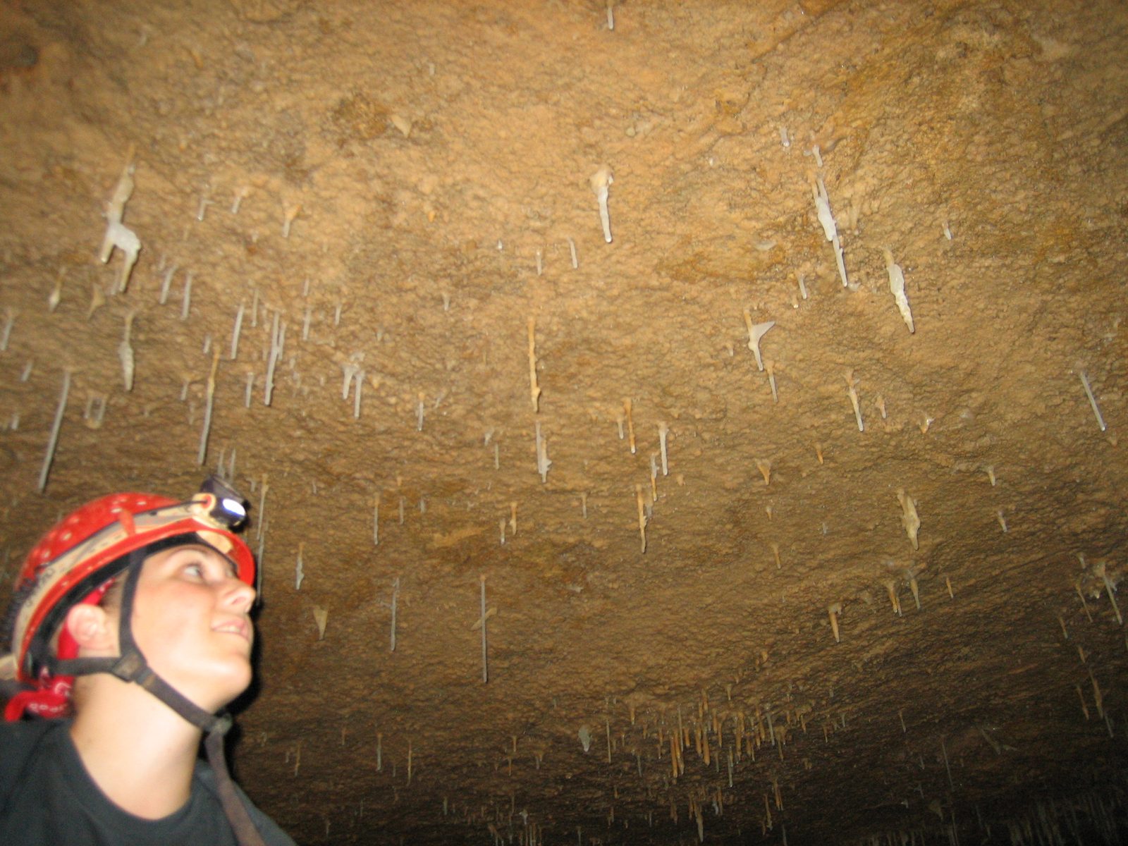 Catherine and soda straws, thin translucent hollow calcite crystals that form on the ceilings of...