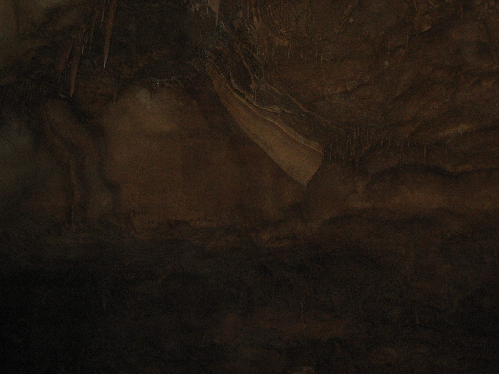 CAVE BACON!!11!!!1  Yummy.