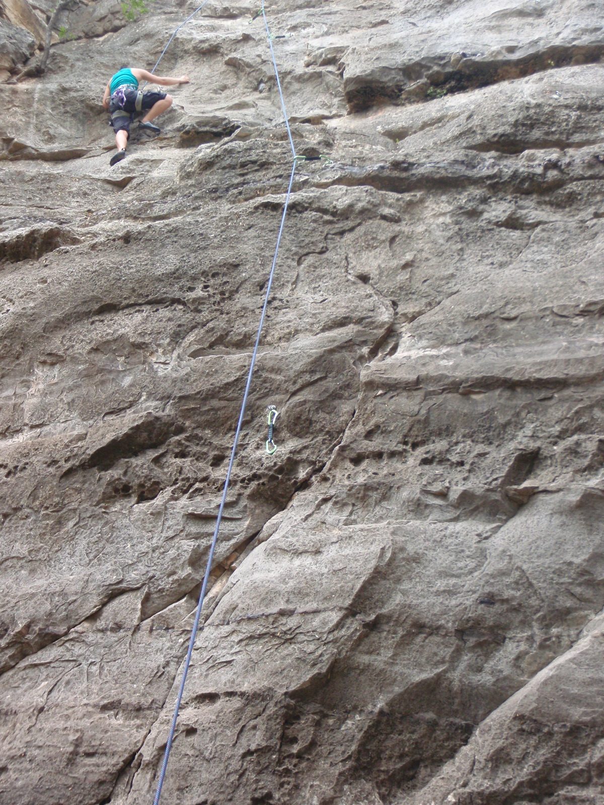 Monica climbing in the Barton Springs Greenbelt.